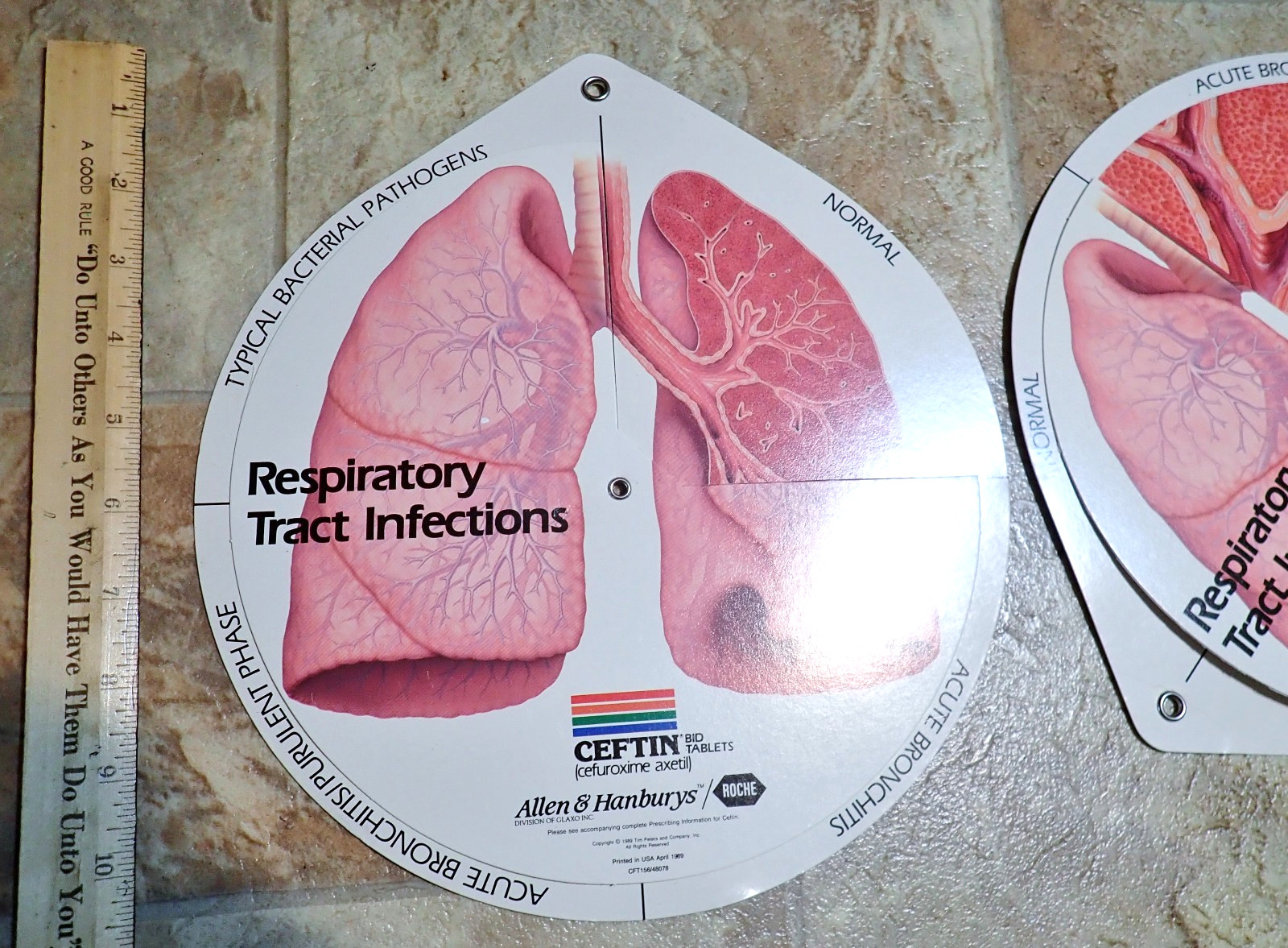 Lot of 4 Respiratory Tract Infections Wheel Medical Displays CEFTIN Advertising