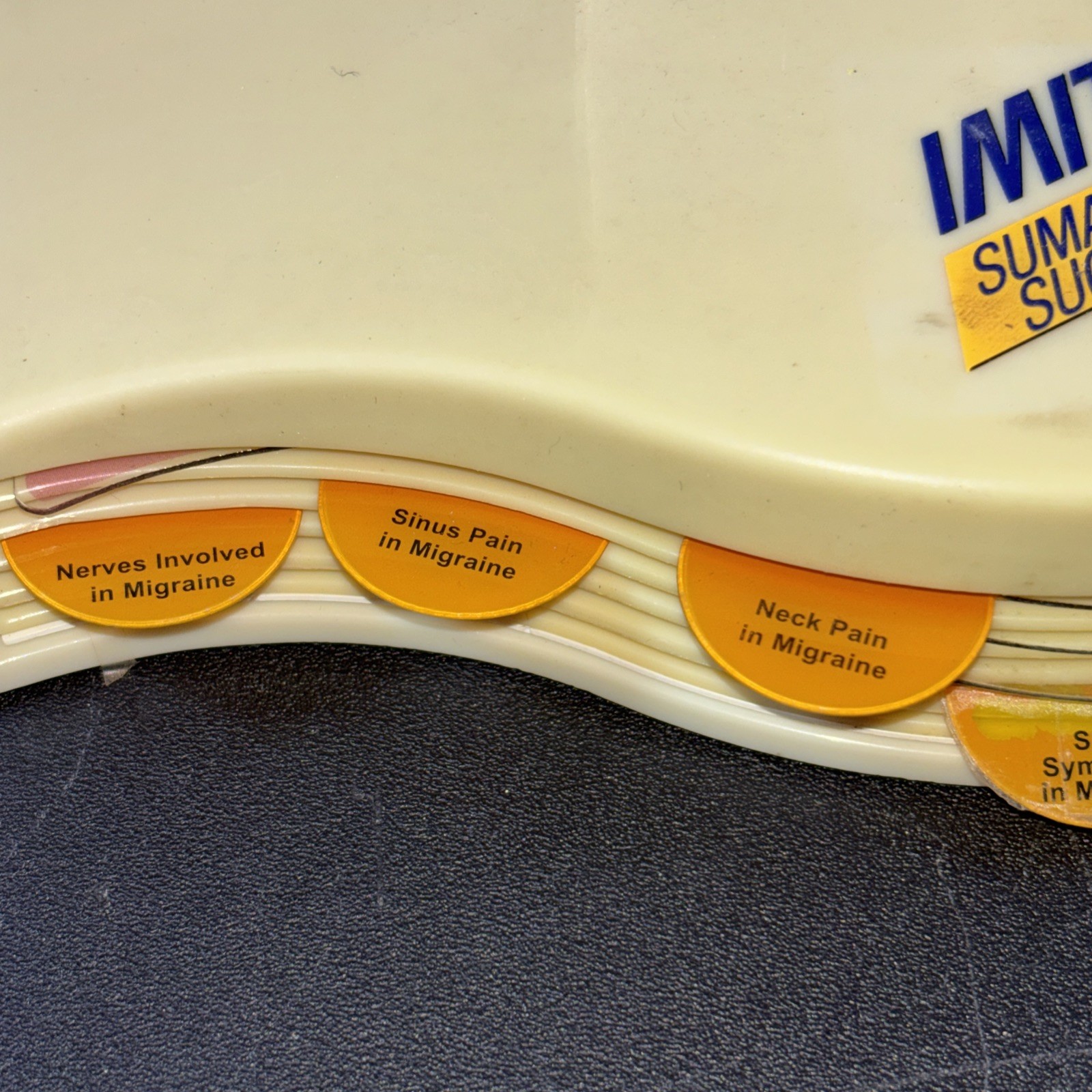 Imitrex Hemi-Brain Model @
