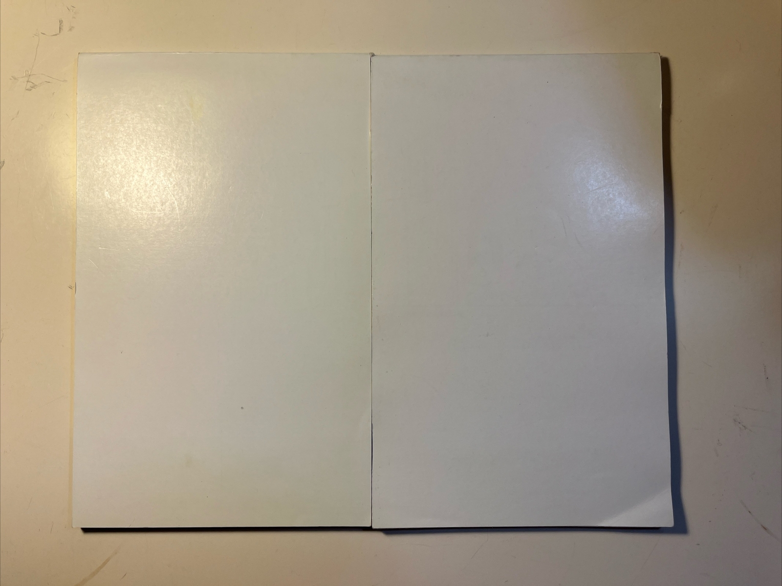 MONOPRIL Cortlandt Memo And Telephone Message Pads For Physicians Set Of Two