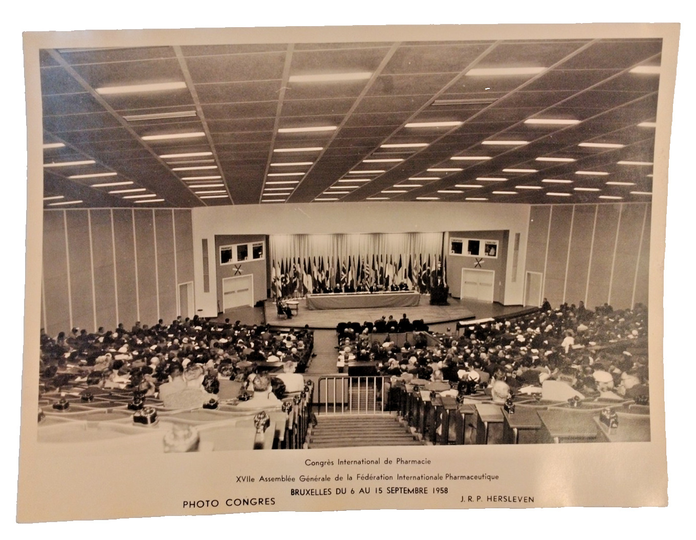 Lot/2- 1958 Real Press Photo International Congress Of Pharmacy General Assembly