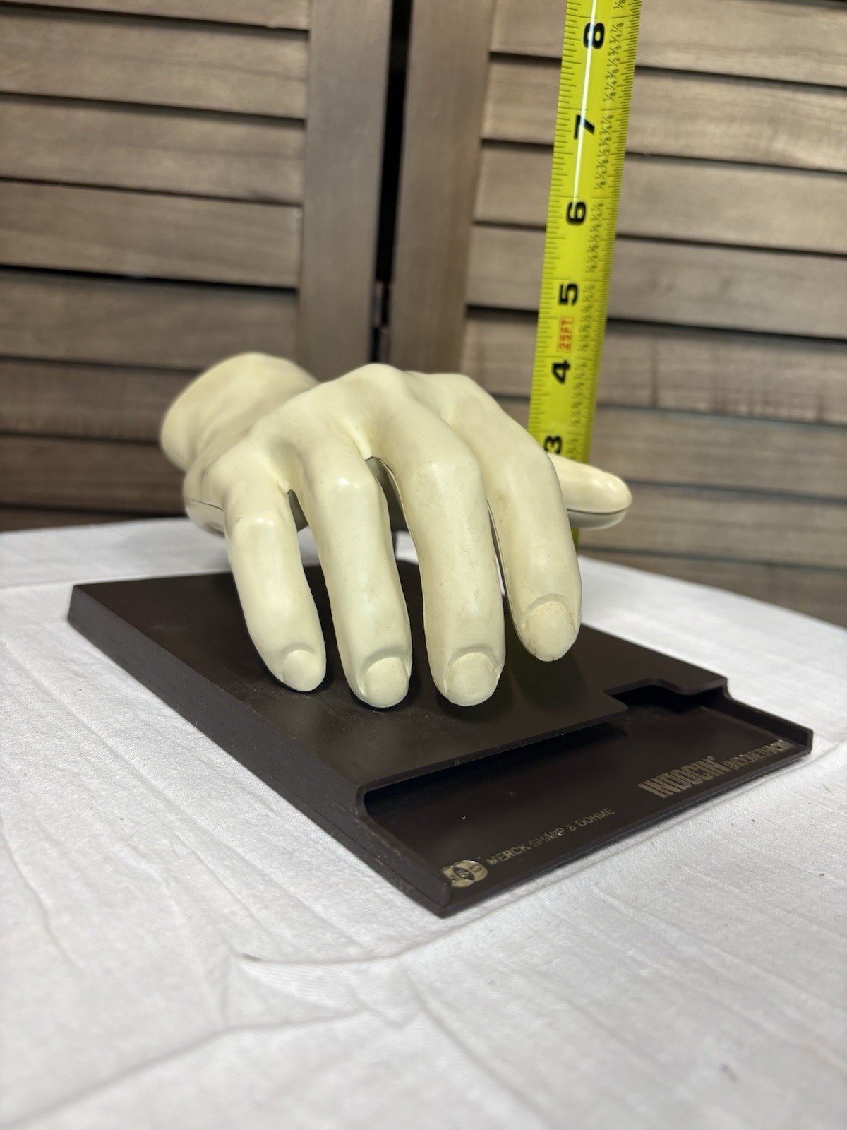 1967 MEDICAL HAND MODEL Anatomical Merck Sharp Dohme Indocin Advertising