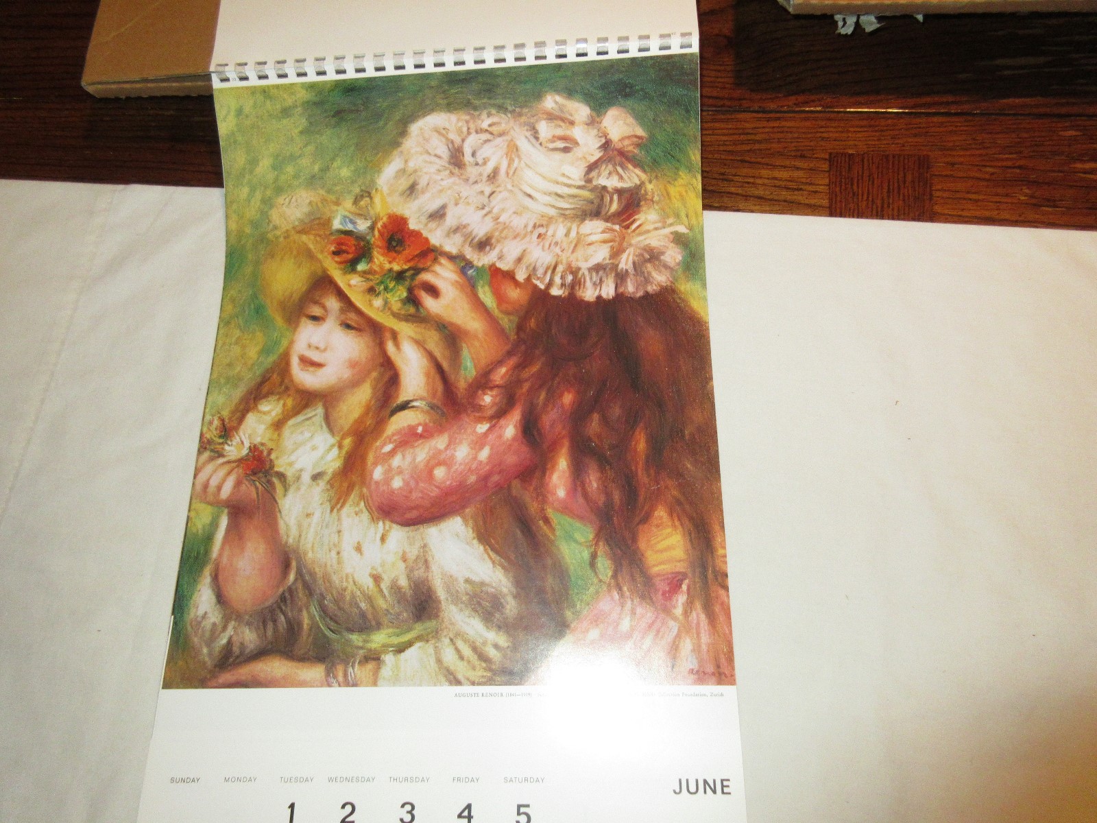 Rx , Hoechst-Roussel Pharmaceuticals Inc . ,1976 Calendar , 18 1/2″ X 11 1/2″