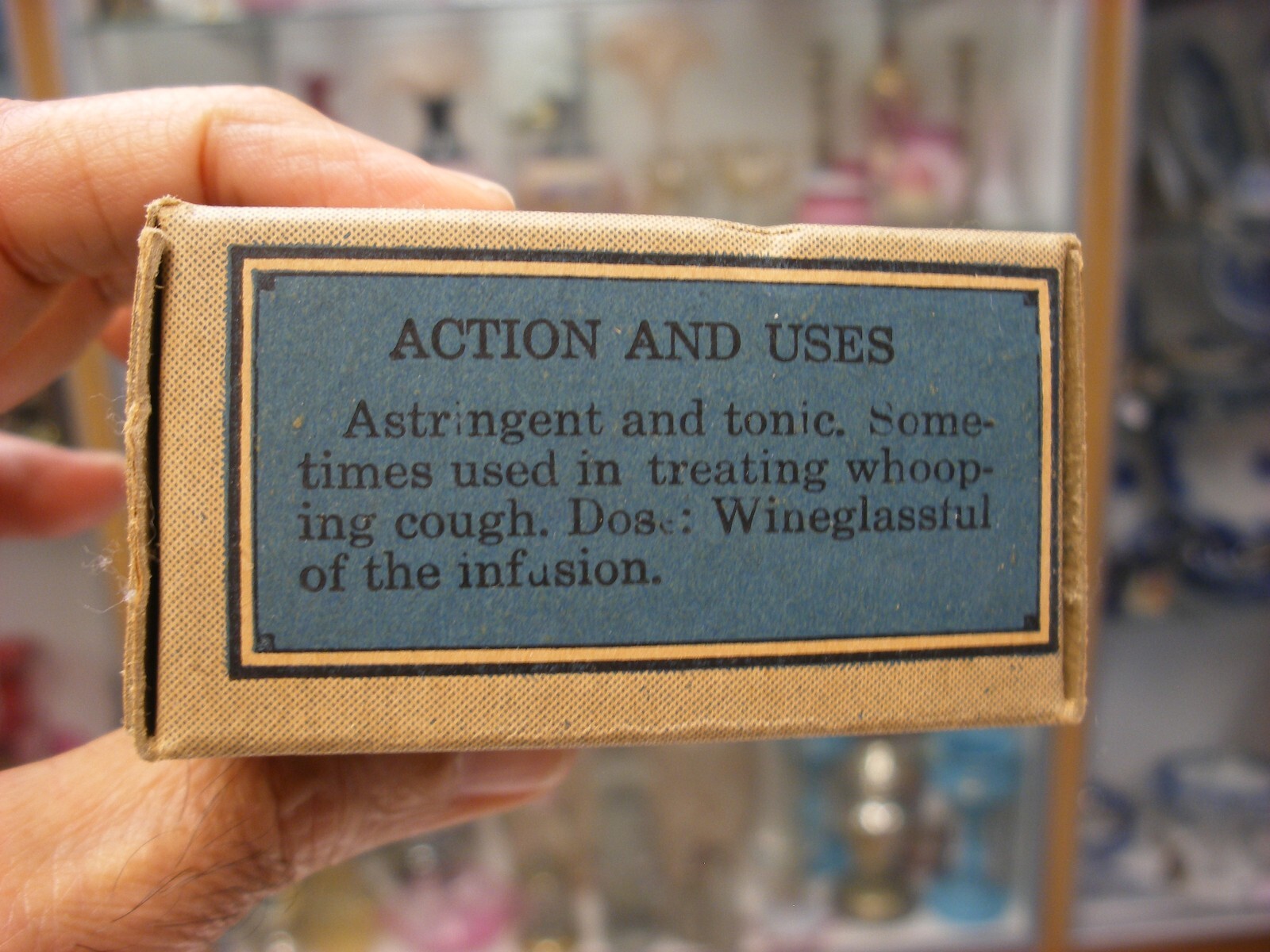 Vtg Medical Pharmacy Quack Cure Initial Line S. B. Penick Co. – Chestnut Leaves
