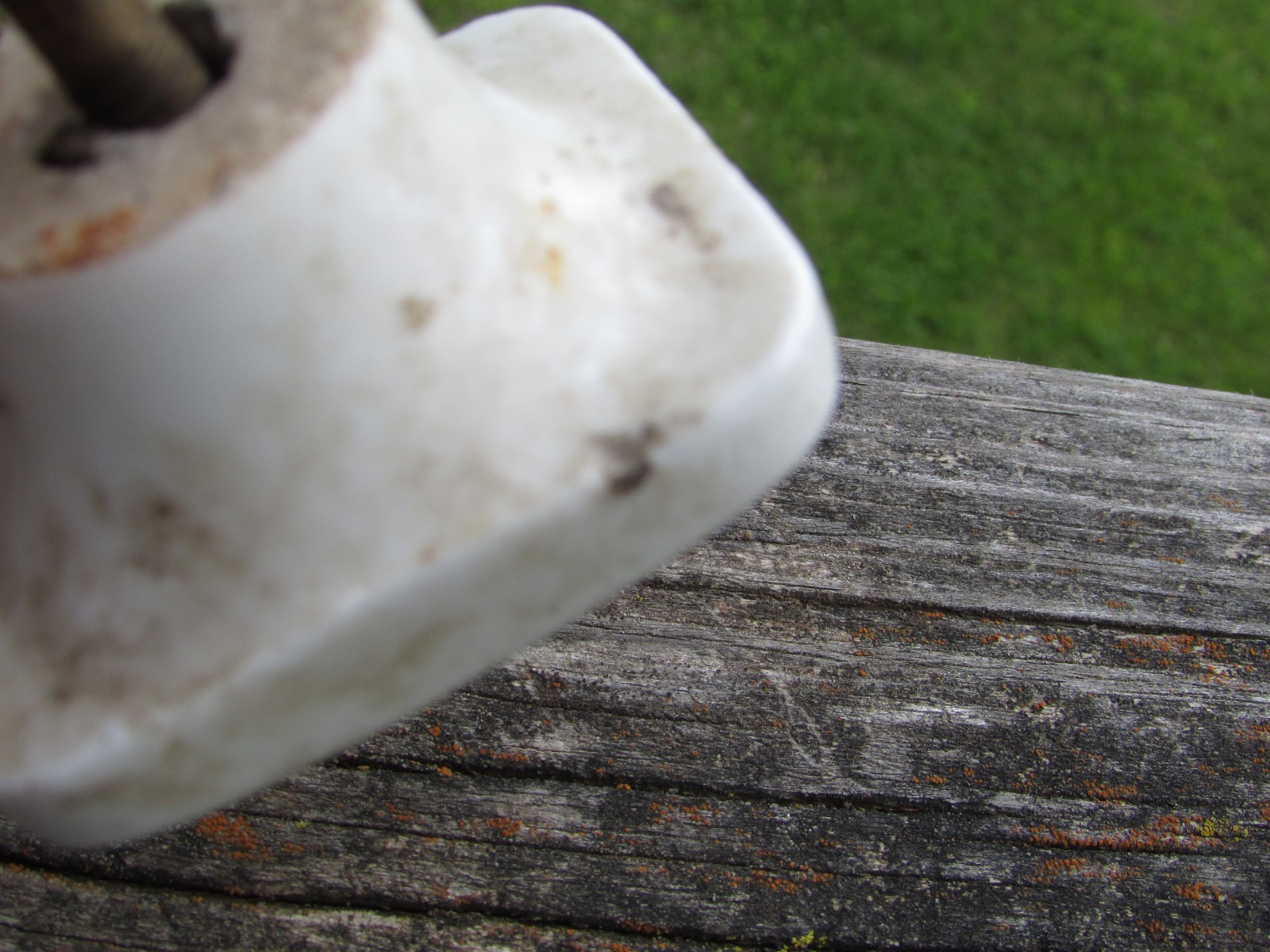Unusual 1900s MARRUBIUM (Horehound) Porcelain APOTHECARY Cabinet Drawer KNOB A++