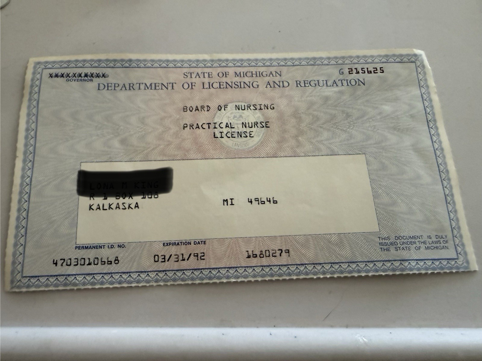 State Of Mich 1991 Board Of Nursing License
