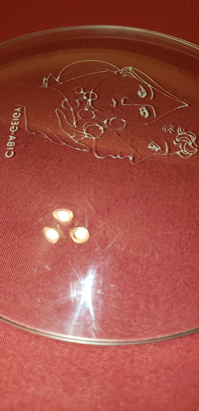 1979 CIBA-GEIGY LOGO PHARMA COMMEMORATIVE PLATE E.KATLIN ARTWORK SIGNED