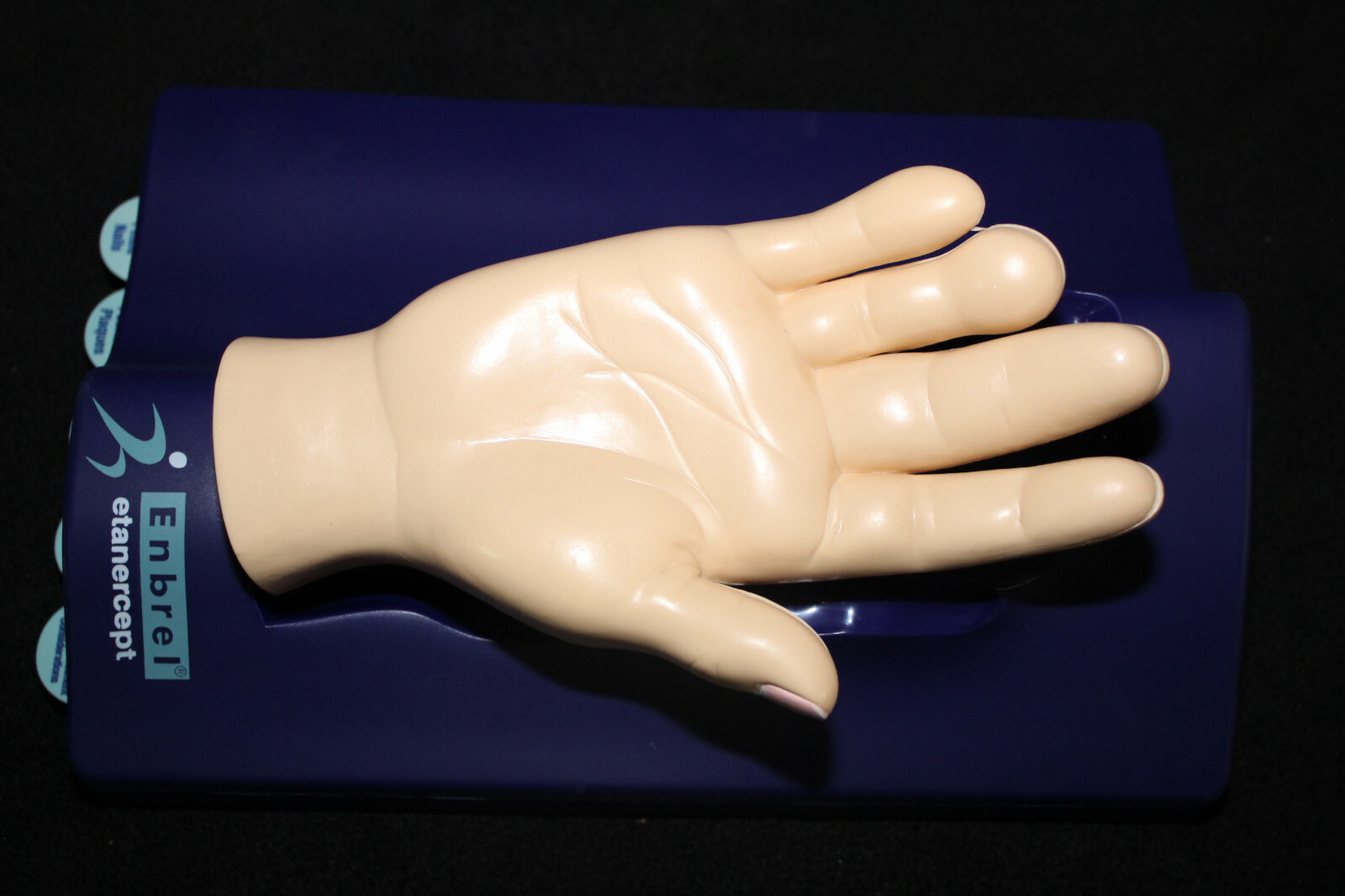 Drug Rep Enbrel Psoriasis Hand Muscles Bones Ligaments Anatomical Model Anatomy