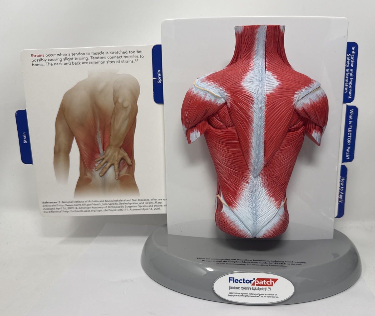 FLECTOR Patch Back Muscles Doctor 3D Display Advertising Model Used