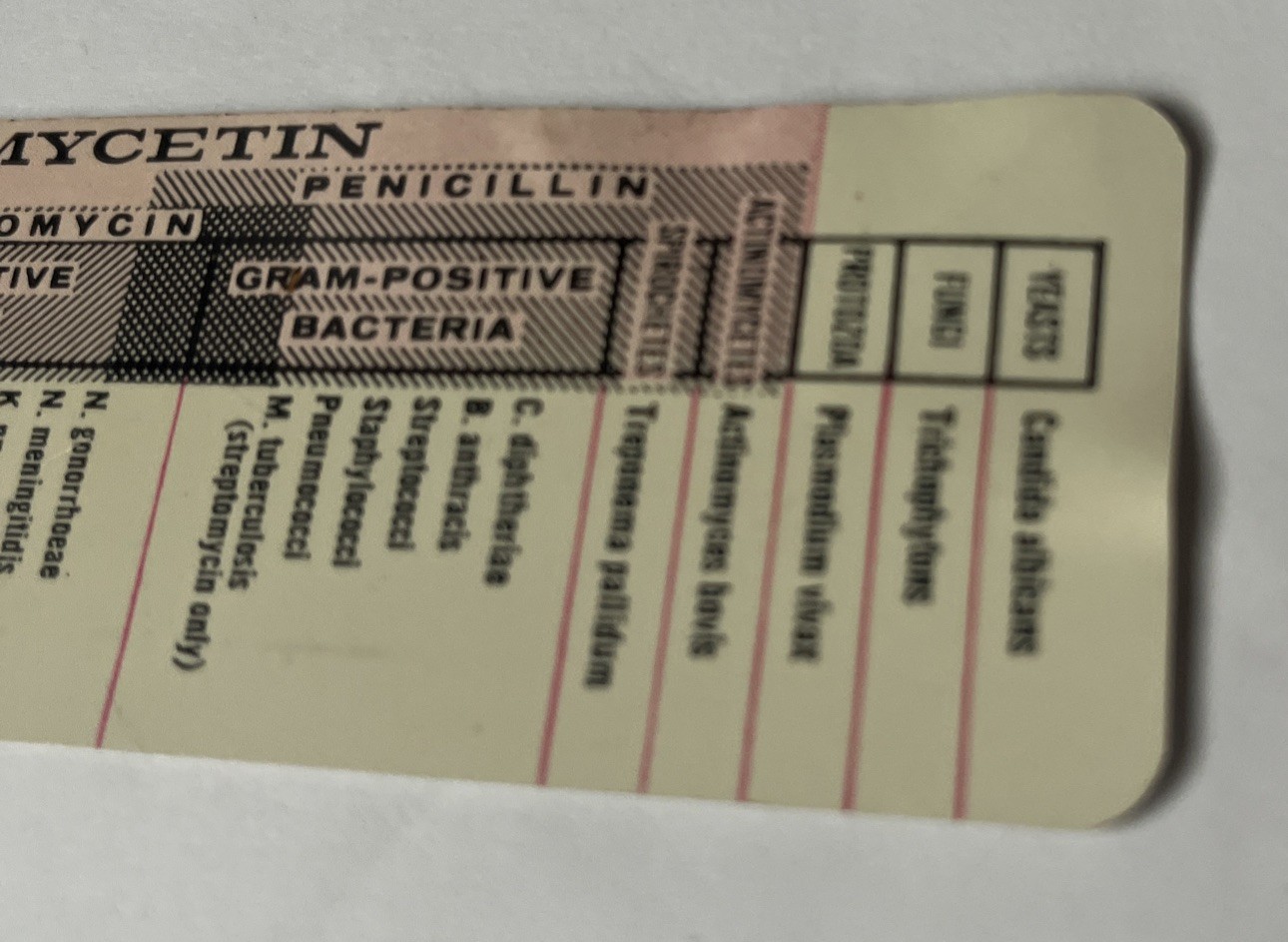 VINTAGE CHLOROMYCETIN ANTIBIOTIC 6-INCH ADVERTISING RULER – PARKE, DAVIS & CO.