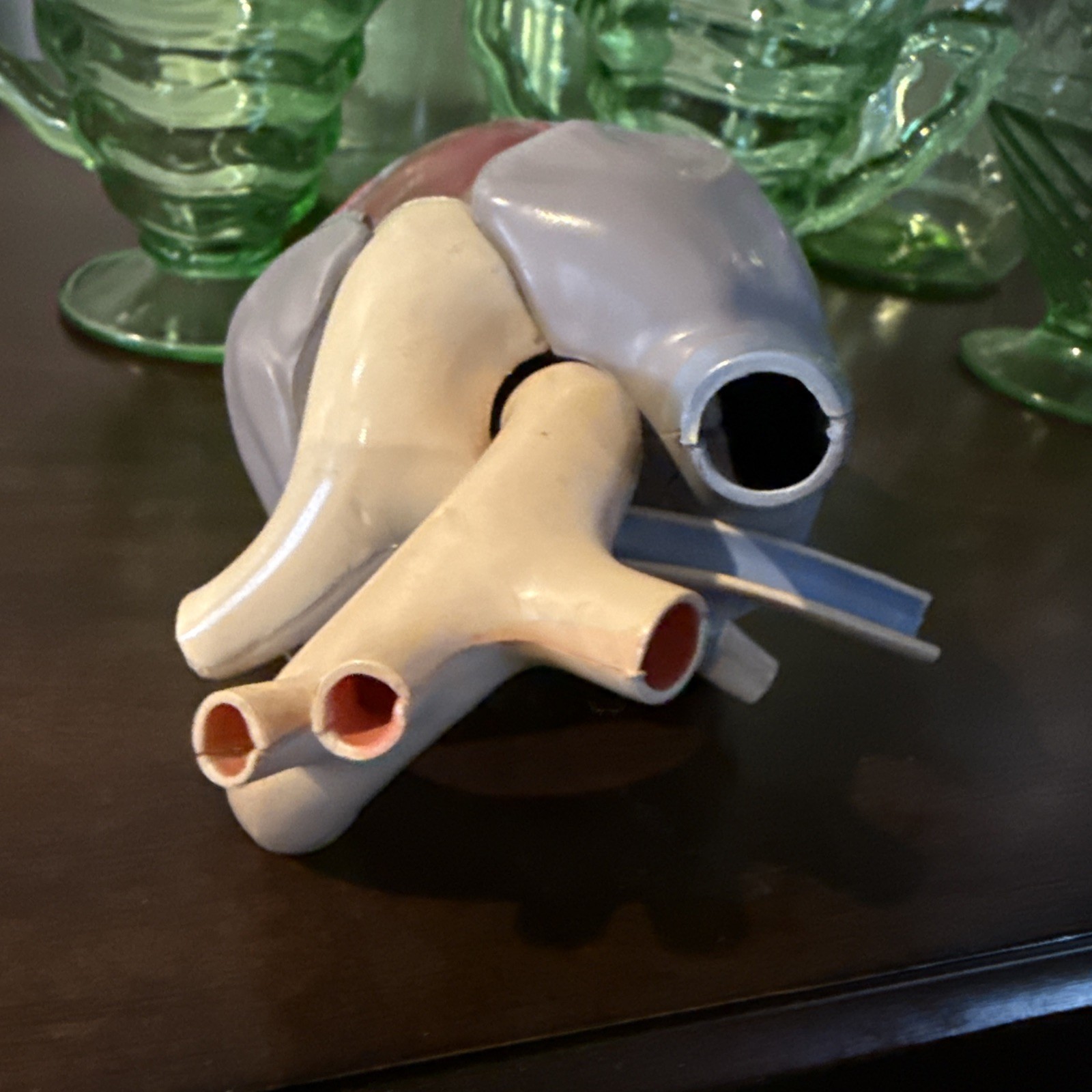 1960’s Merck Sharp Dohme Heart Model Plus Free Kidney Look