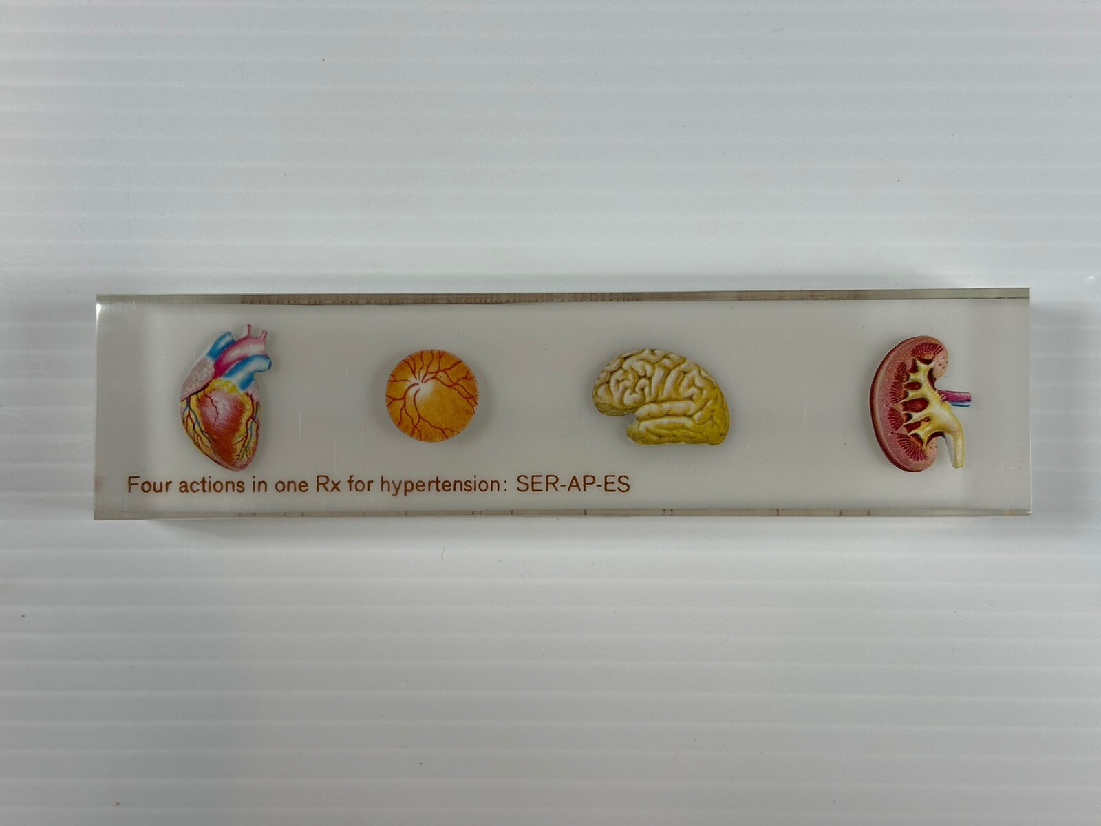 VTG CIBA PHARMACEUTICAL PHYSICIAN PAPERWEIGHT BODY ORGANS SER-AP-ES ADVERTISING