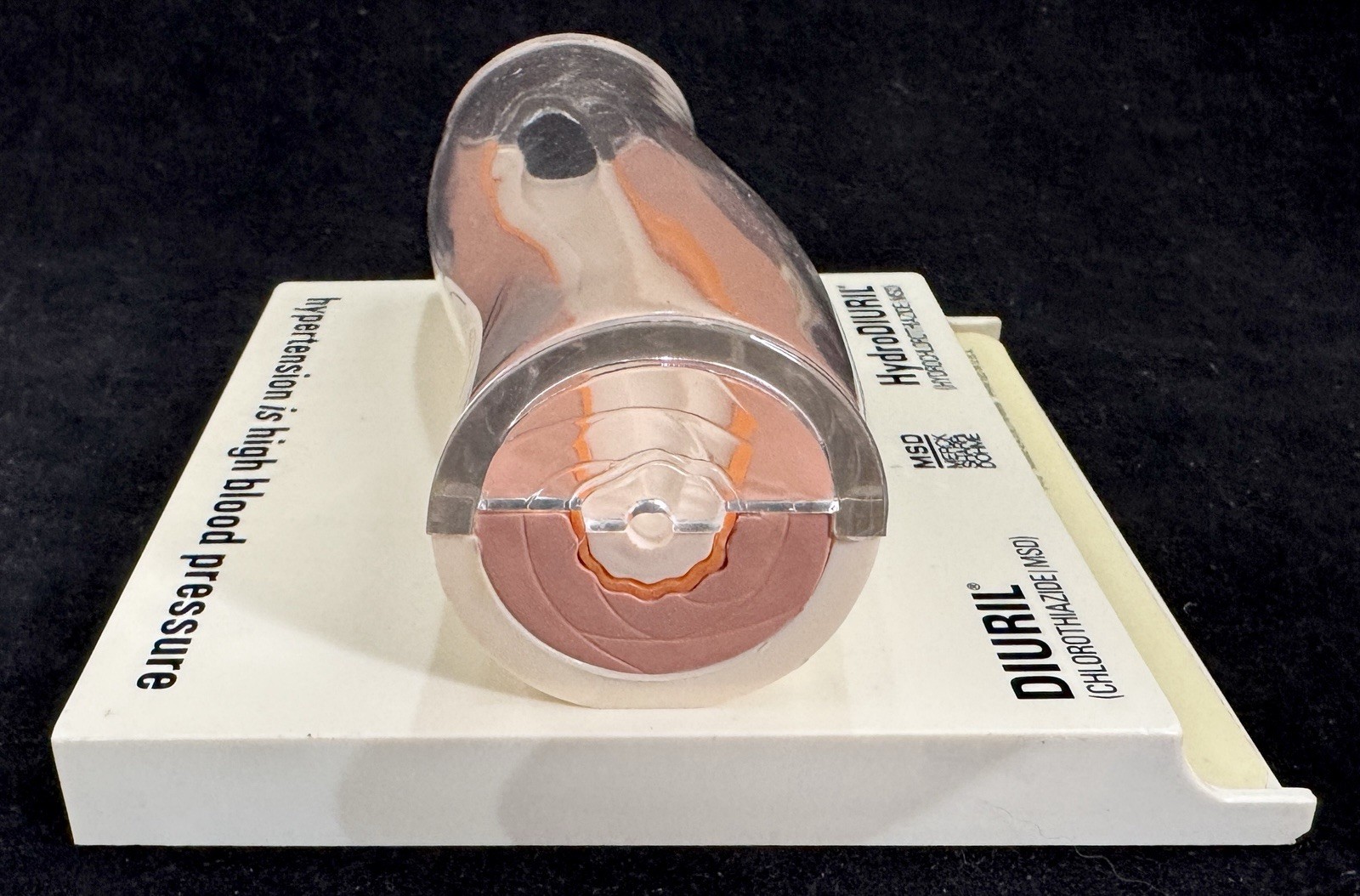 Merck MSD Diuril Advertising 3D Model Vein Artery 1976 Anatomical Sales Sample