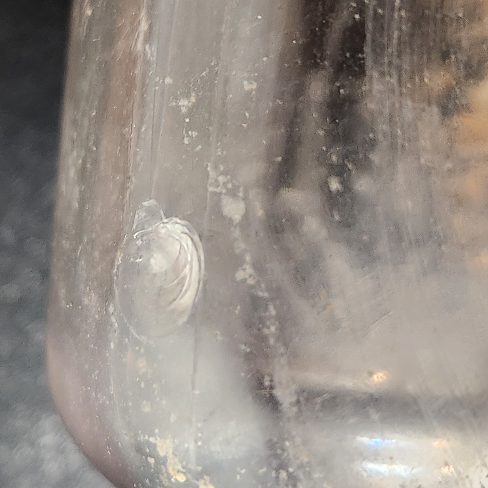 VTG Clear Glass Pharmaceutical Medicine Bottle Pharmacy “CONTENTS 3 FLD OZS”