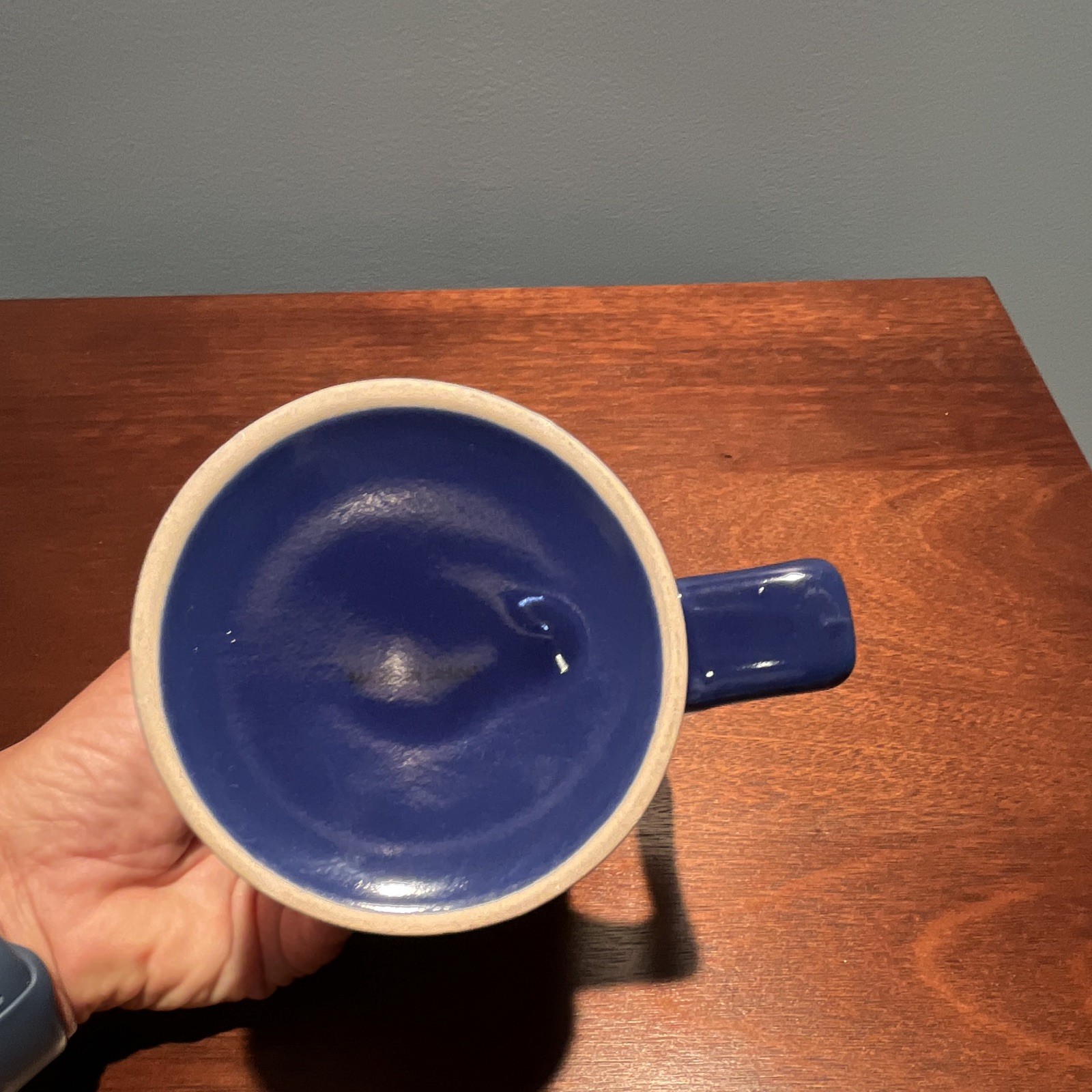 Protonix 40mg / IV Pharmaceutical Drug Rep Large Coffee Mug Blue