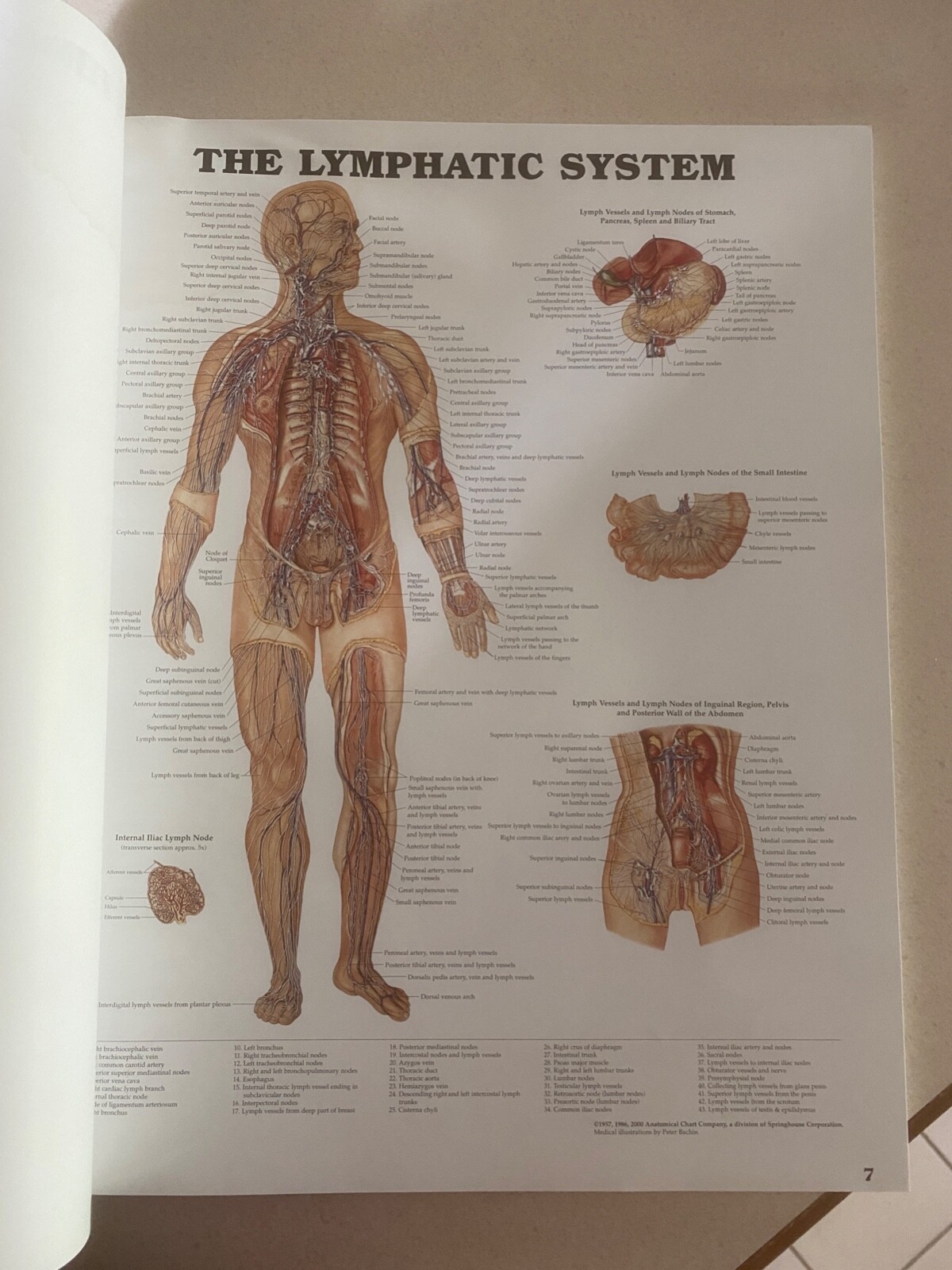 Drug rep 14″X11″ book bound Anatomic Charts
