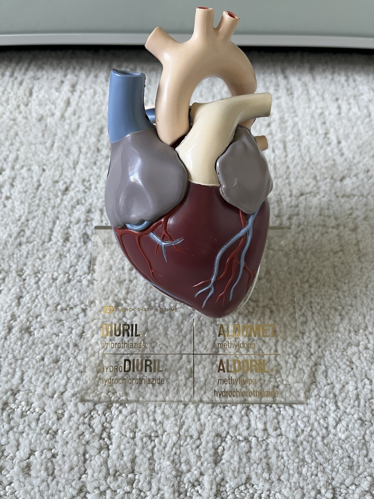 Vintage Merck Sharp Dohme Anatomical Heart Model Diuril Aldomet Drug Rep