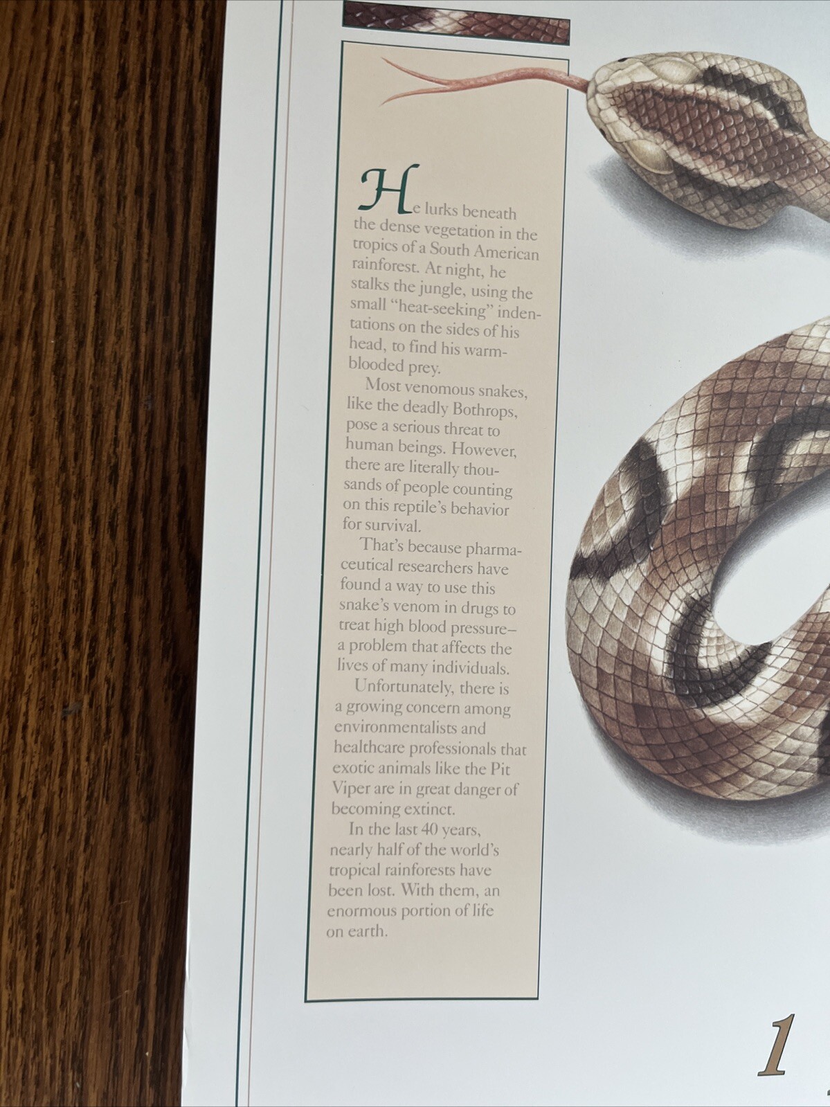 Vintage 1991 Pit Viper Venom Pharmacy History Pharmacist Poster Afrin Promo Swag