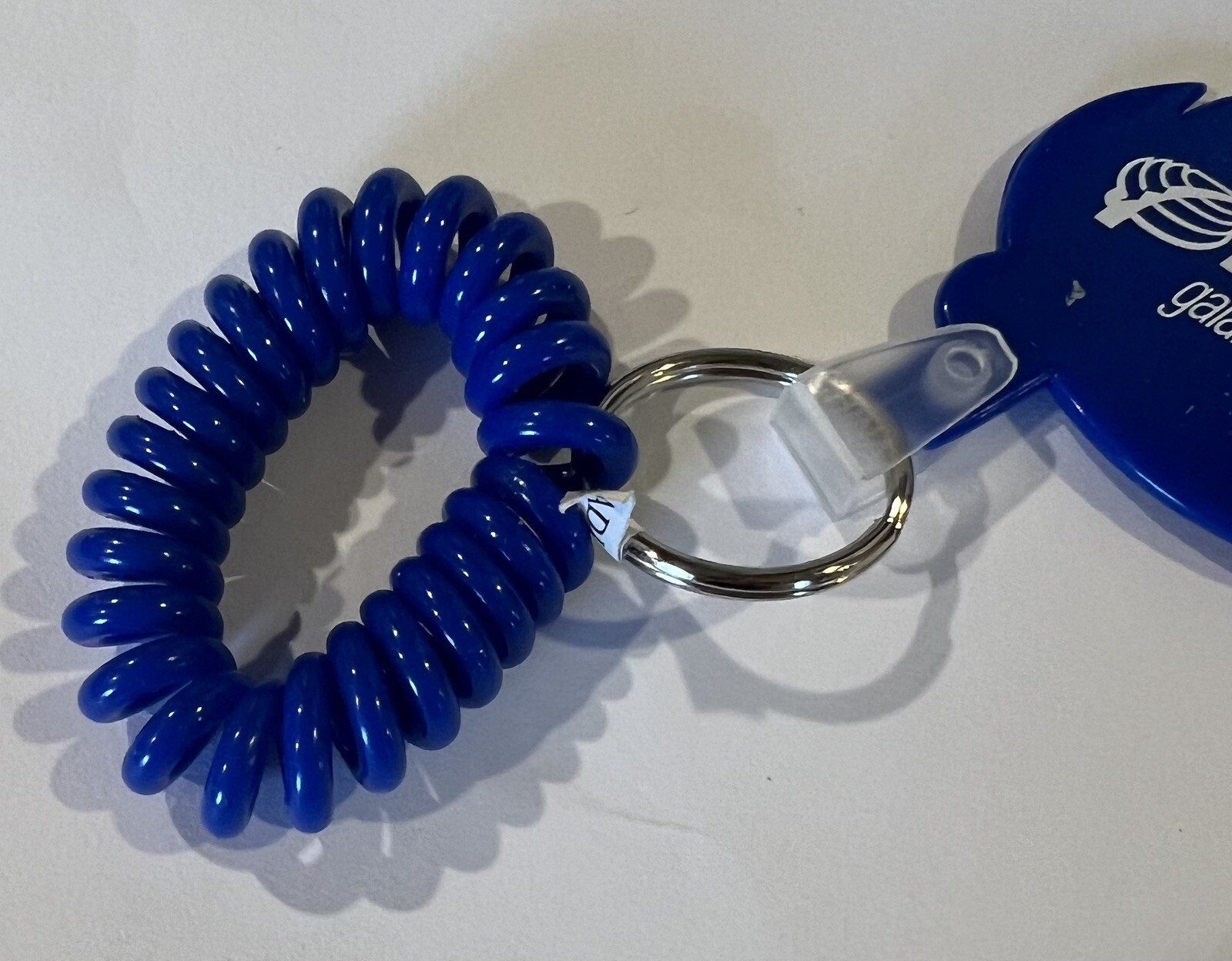 NEW Pharmaceutical Drug Rep REMINYL Wrist Key Chain 2002