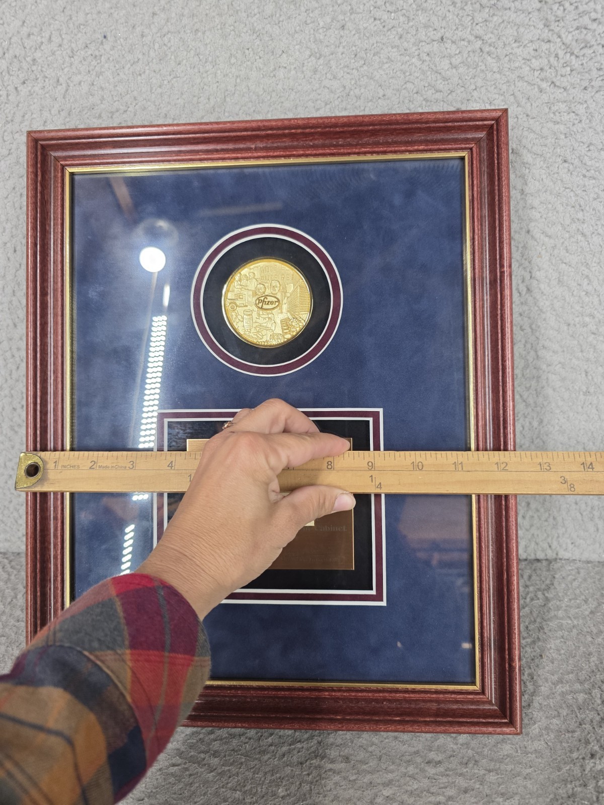 Pfizer Drug Company Framed Plaque Award Rare Pharmaceutical Collectible