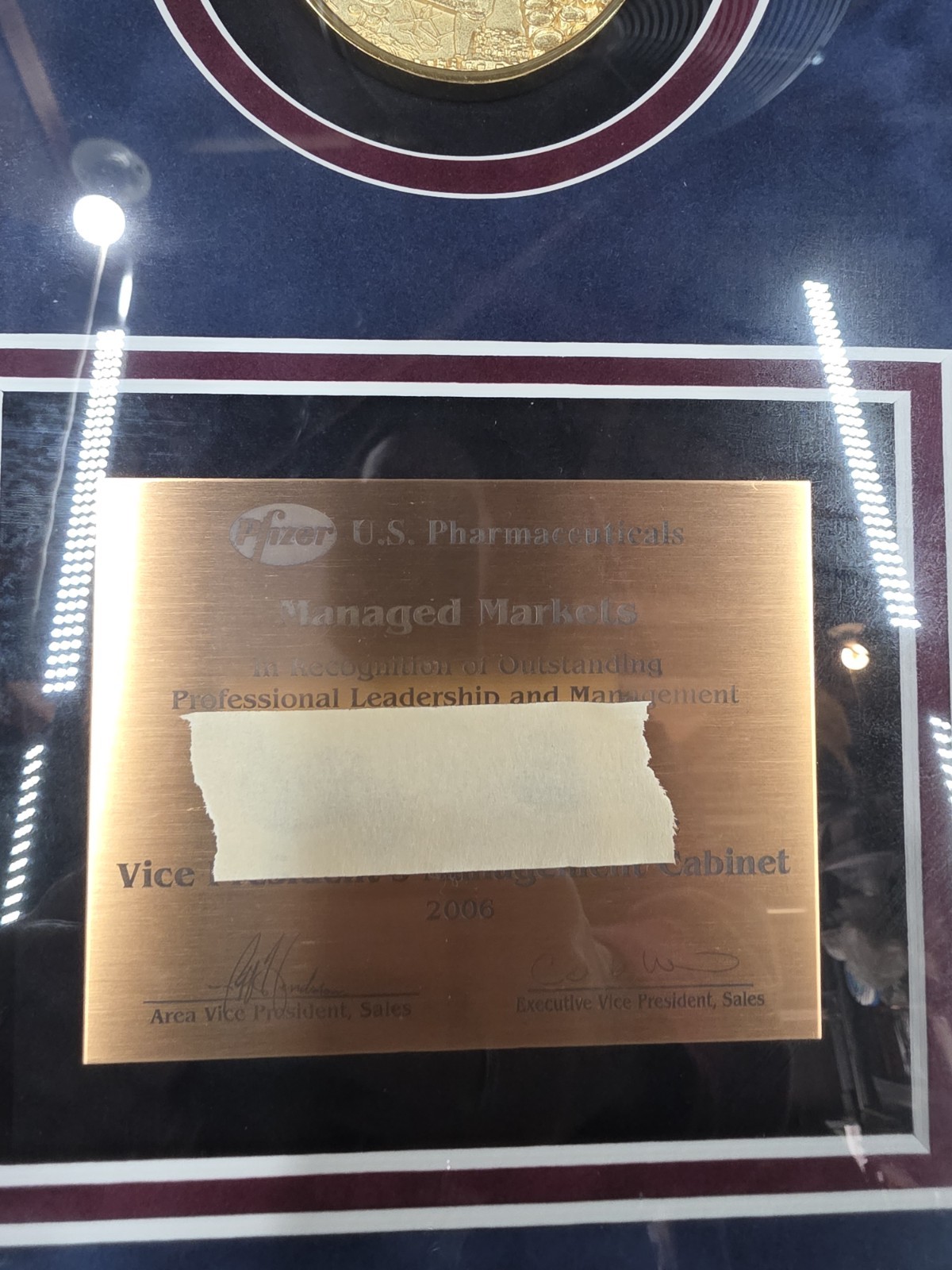 Pfizer Drug Company Framed Plaque Award Rare Pharmaceutical Collectible