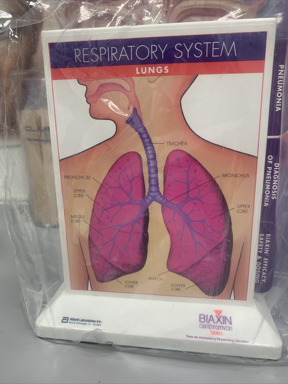 Biaxin Rare Vintage Pharmaceutical Drug Rep Merch New Respiratory System Display