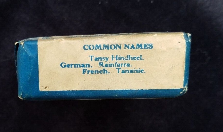 New Old Stock Herbal Package TANSY SW Gould Botanic Garden Malden Massachusetts