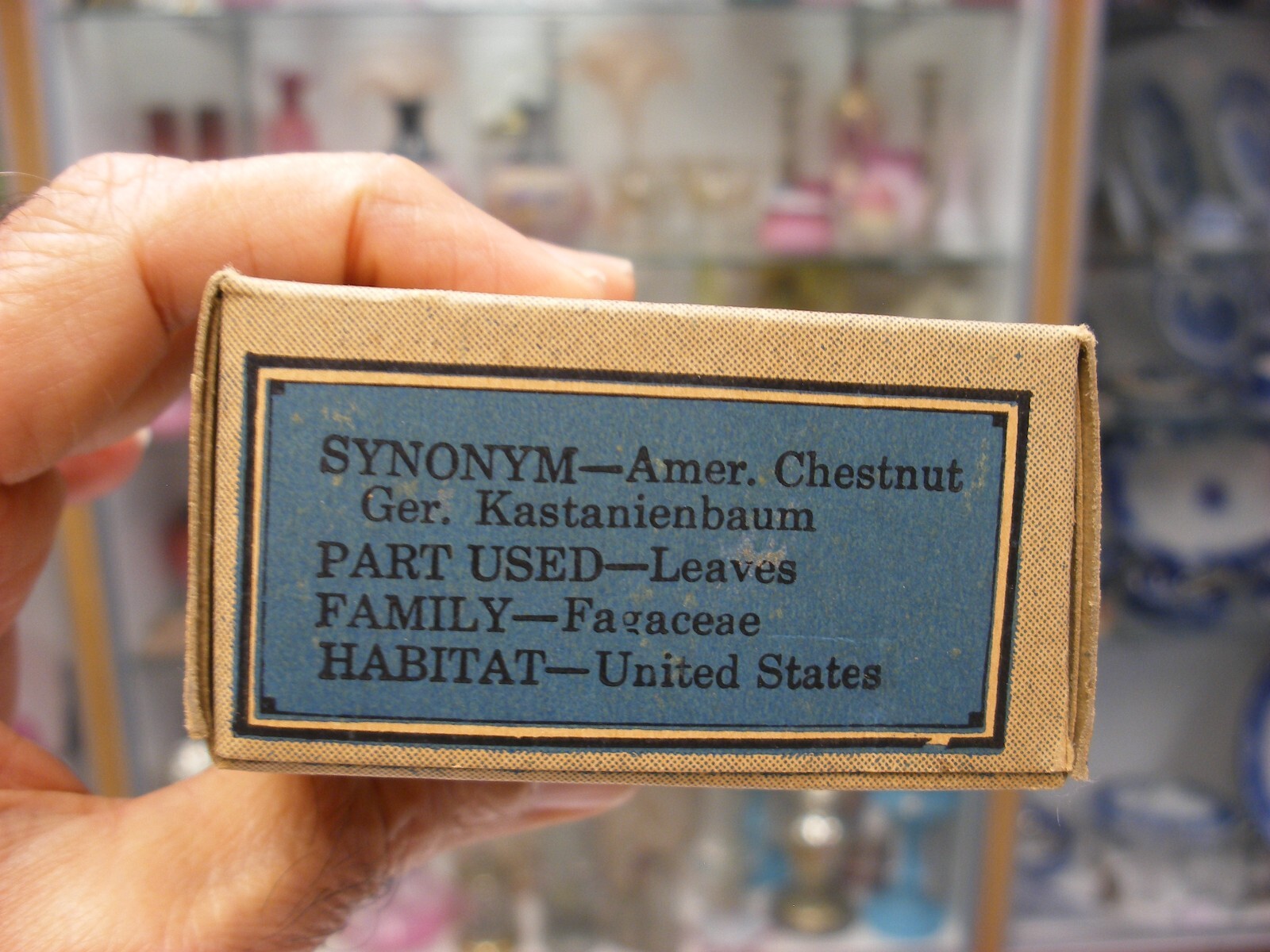 Vtg Medical Pharmacy Quack Cure Initial Line S. B. Penick Co. – Chestnut Leaves
