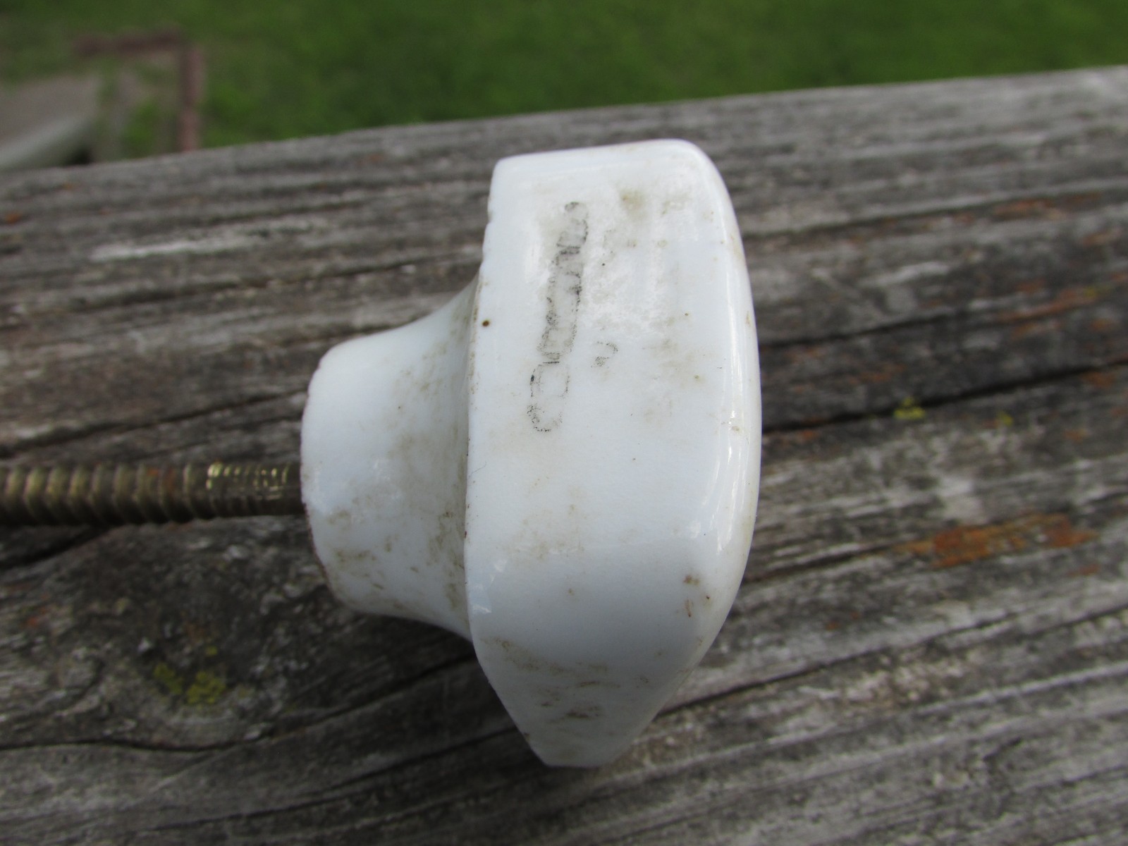 Unusual 1900s MARRUBIUM (Horehound) Porcelain APOTHECARY Cabinet Drawer KNOB A++