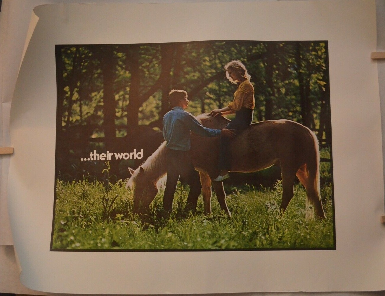 Lot of (2) Vintage “Their World” Ortho-Novum Birth Control Advertisement Poster