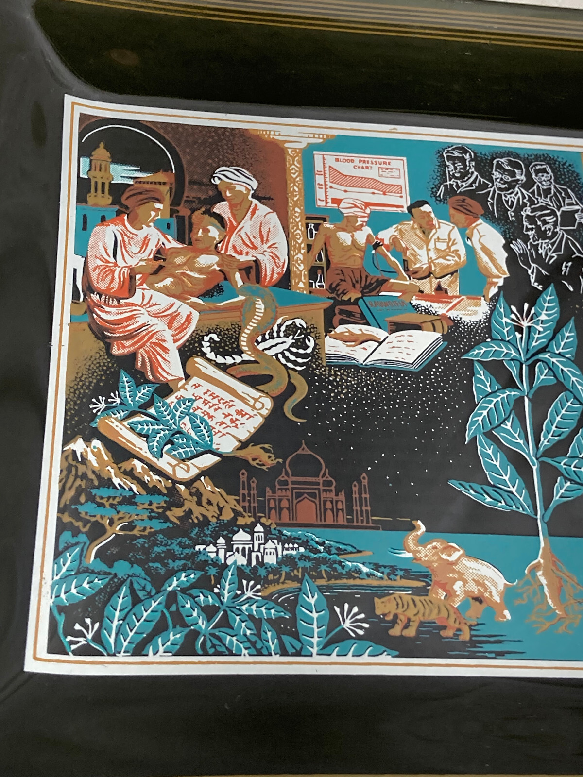 Vntg Squibb Pharmaceutical Rx Rauwolfia India Rectangle Glass Tray Plate Black