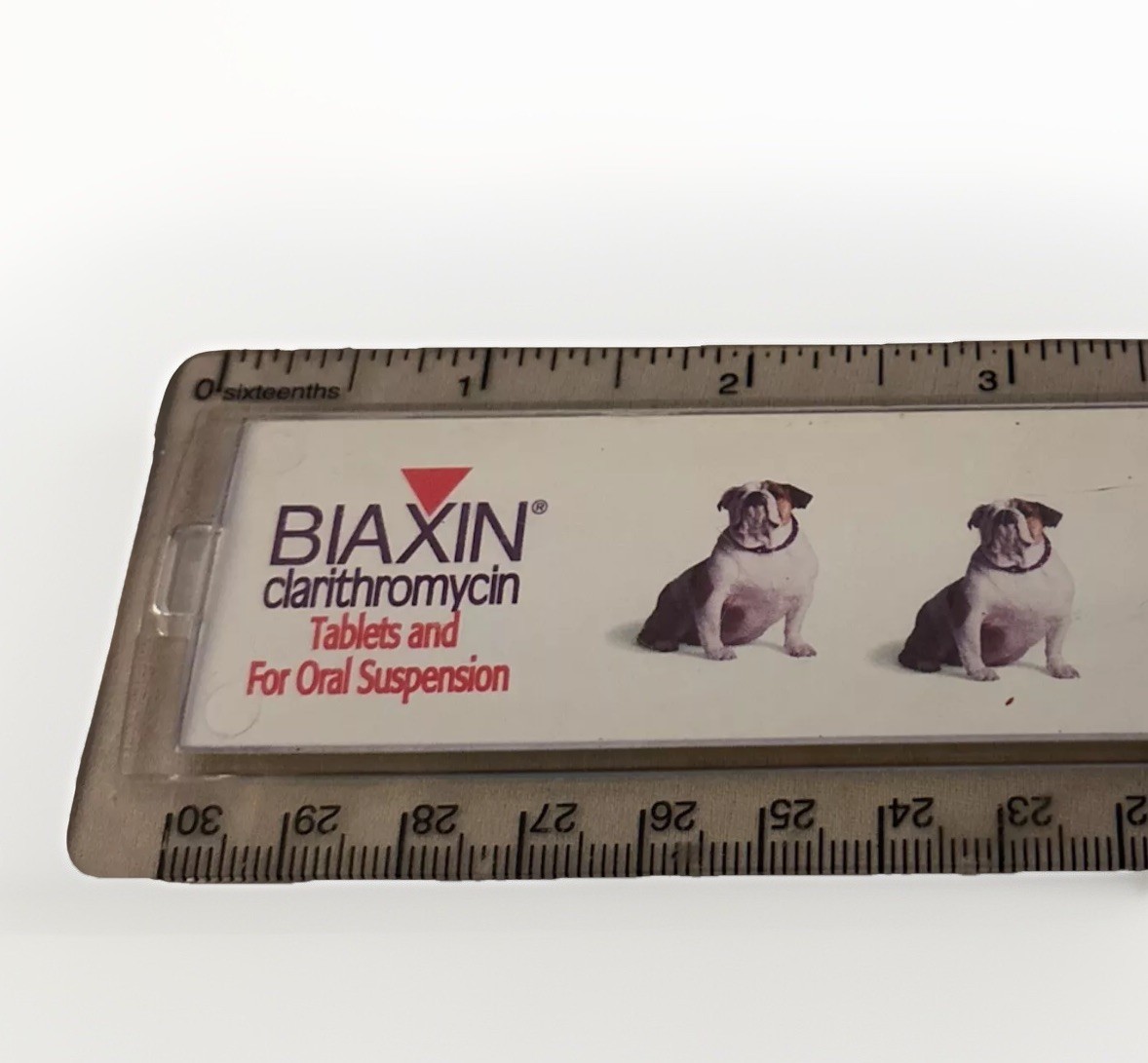 Biaxin Bix the Bulldog Lucite 12” Ruler Antibiotic Pharma Drug Rep 1990’s