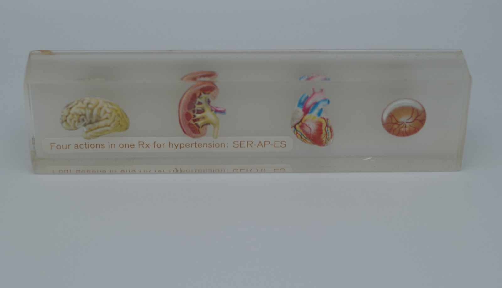CIBA PHARMACEUTICAL PHYSICIAN’S PAPERWEIGHT BODY ORGANS SER-AP-ES ADVERTISING