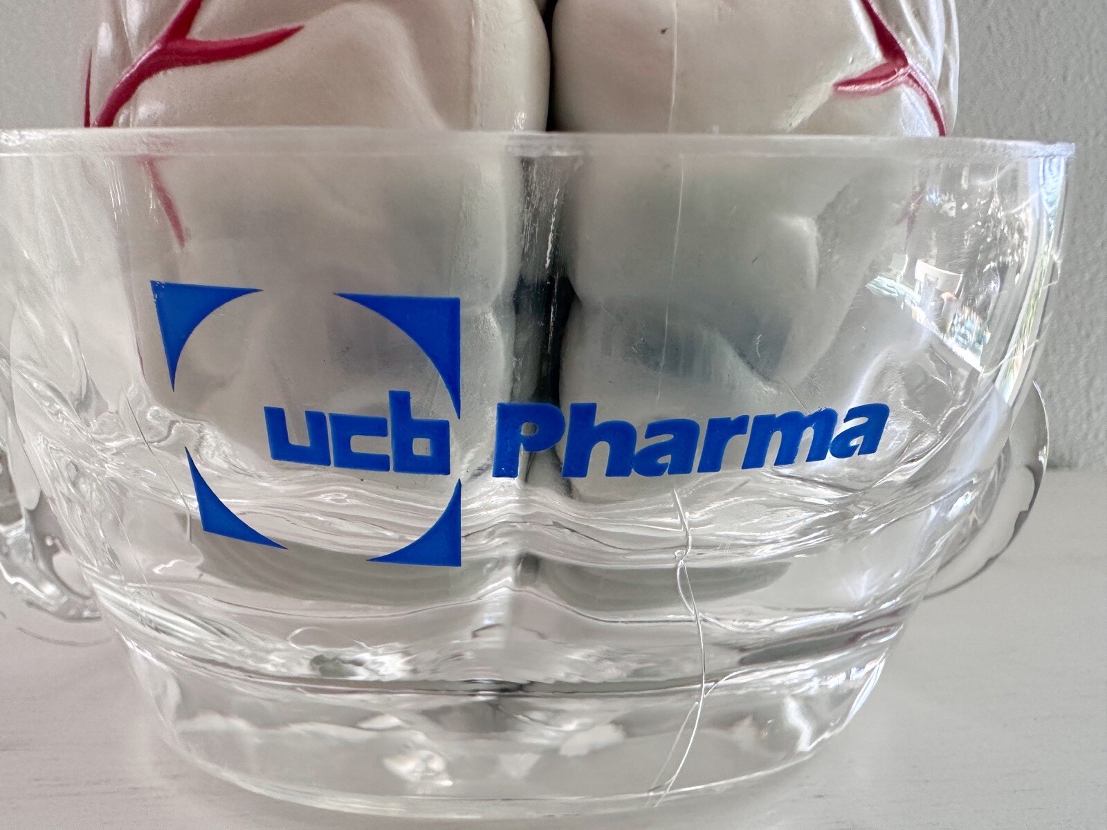 UCB Pharma Lucite Head Skull Brain Model Medical Pharmaceutical Science Display