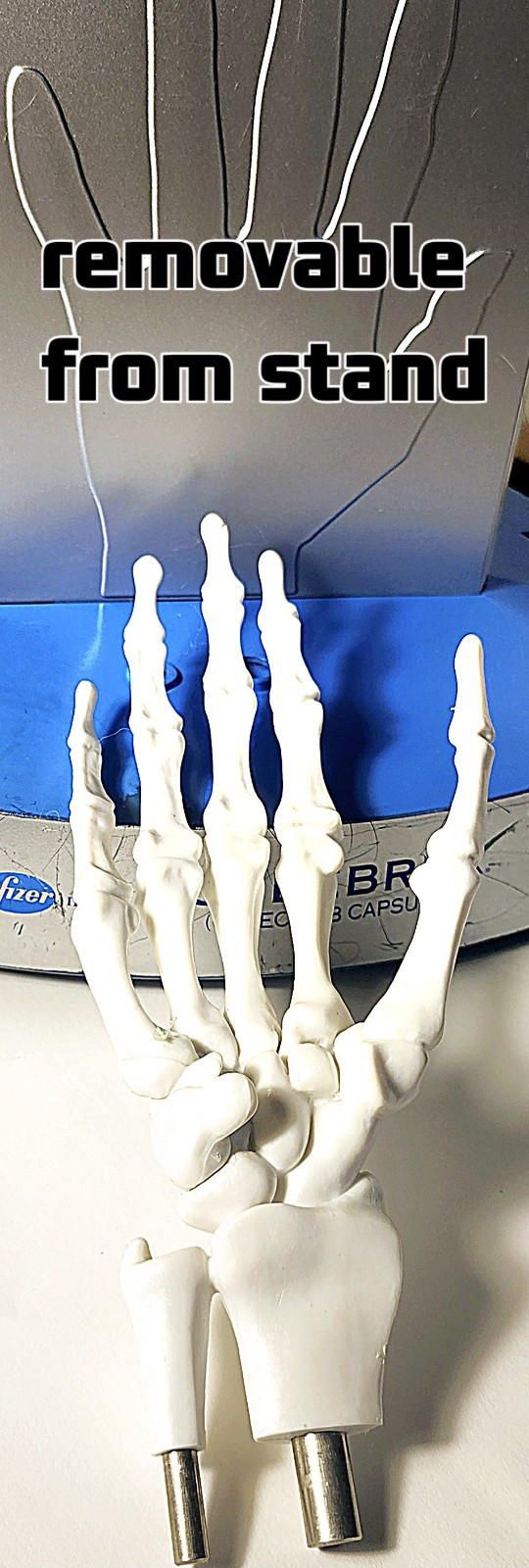 “Anatomical Arthritis Model” Of a Hand, Foot, & Spine ~Pfizer~ Celebrex/Bextra