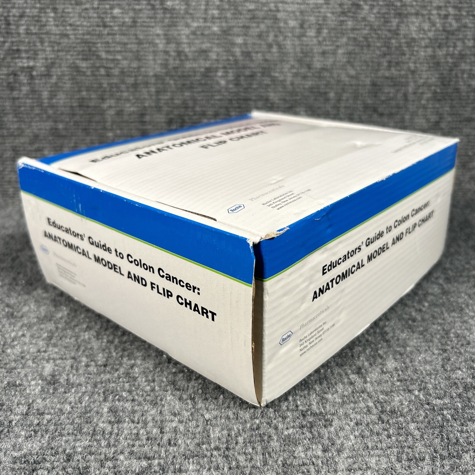 Colon Cancer Anatomical Anatomy Model Chart Display Roche Pharmaceutical Xeloda