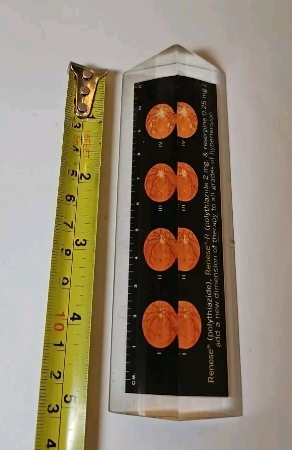 RENESE Pfizer Pharmaceutical Promo Vintage 1964 LUCITE Advertising Ruler