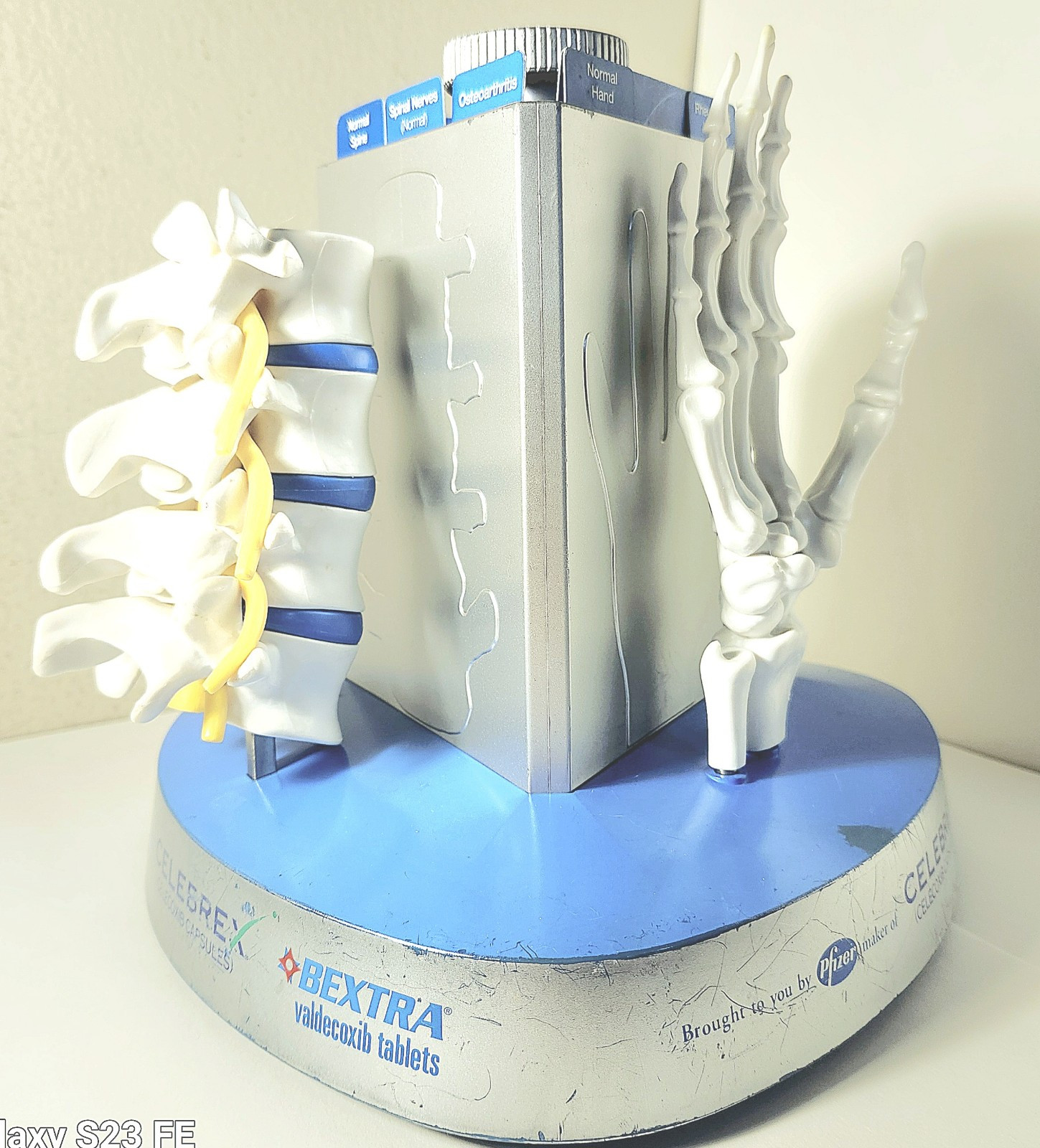 “Anatomical Arthritis Model” Of a Hand, Foot, & Spine ~Pfizer~ Celebrex/Bextra