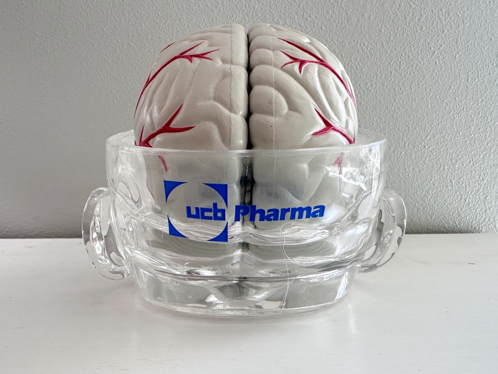 UCB Pharma Lucite Head Skull Brain Model Medical Pharmaceutical Science Display