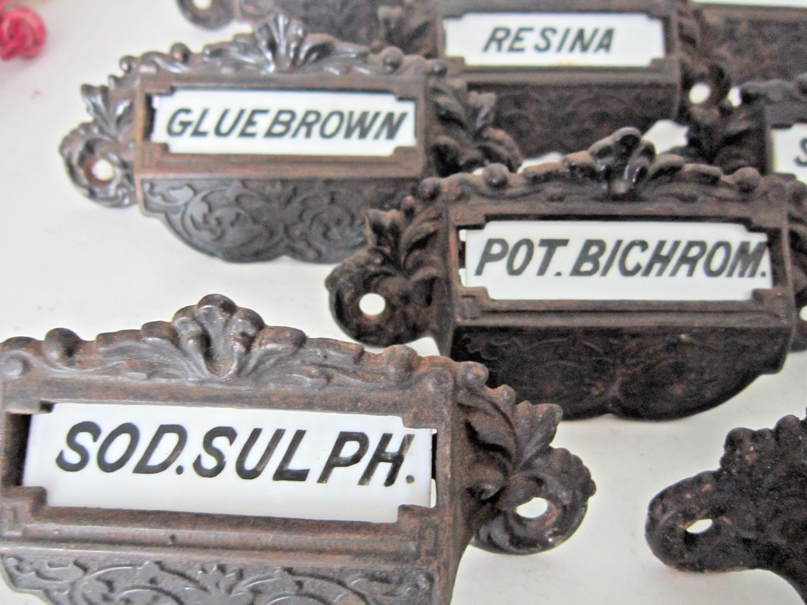 1800s Apothecary Drawer Pulls Handles Knobs Label Under Glass Pharmacy Cabinet