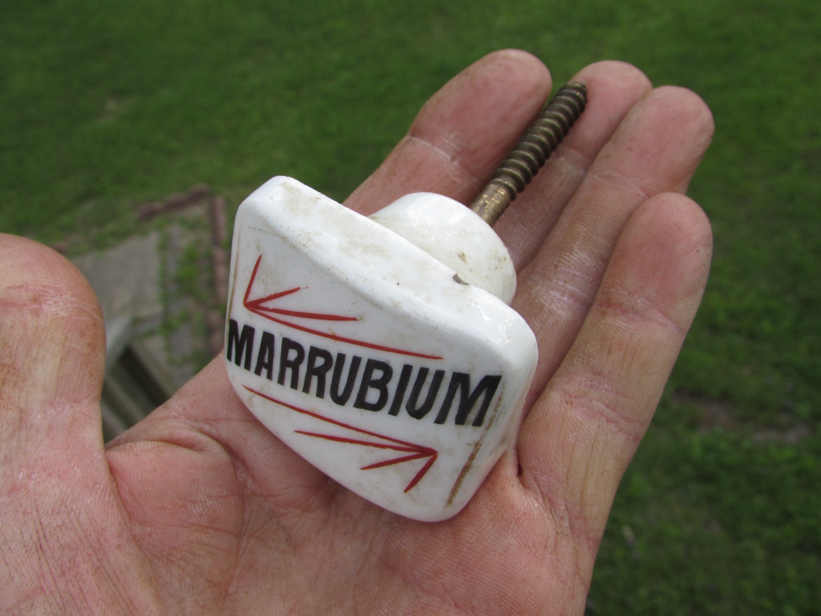 Unusual 1900s MARRUBIUM (Horehound) Porcelain APOTHECARY Cabinet Drawer KNOB A++