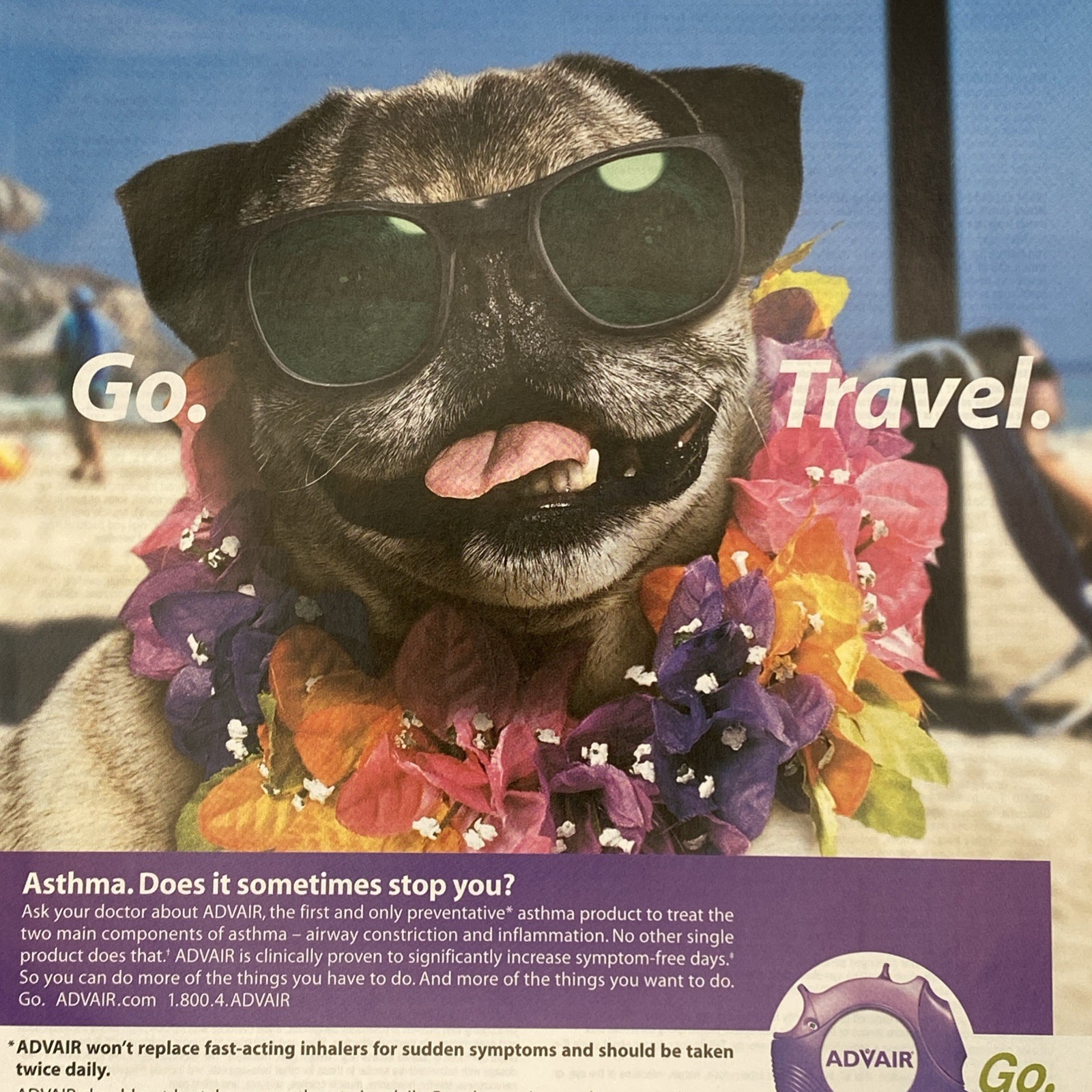 2004 Advair GSK Promo PRINT AD Pug Dog Sunglasses Lei Beach Go Travel Pharma 00s