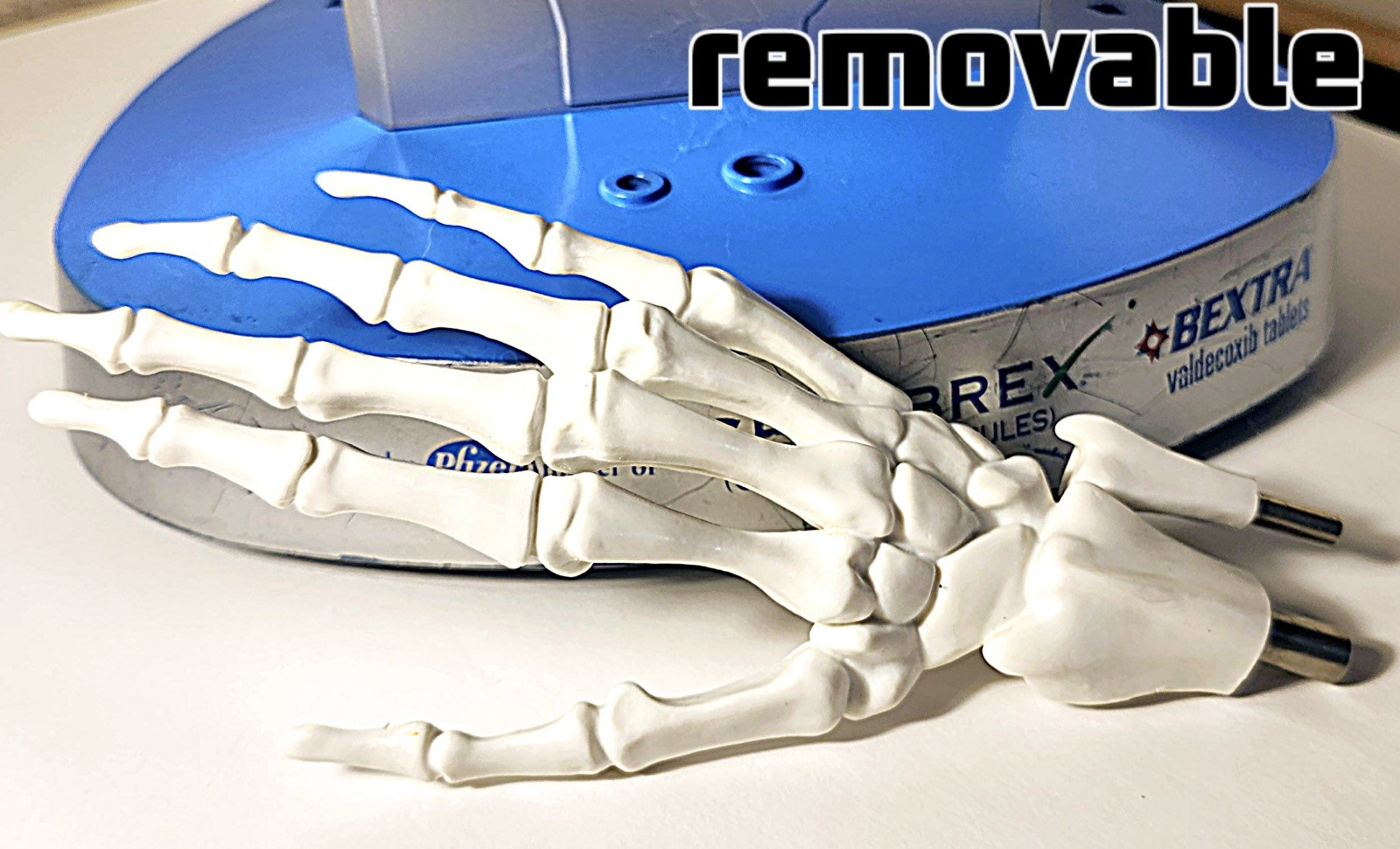 “Anatomical Arthritis Model” Of a Hand, Foot, & Spine ~Pfizer~ Celebrex/Bextra