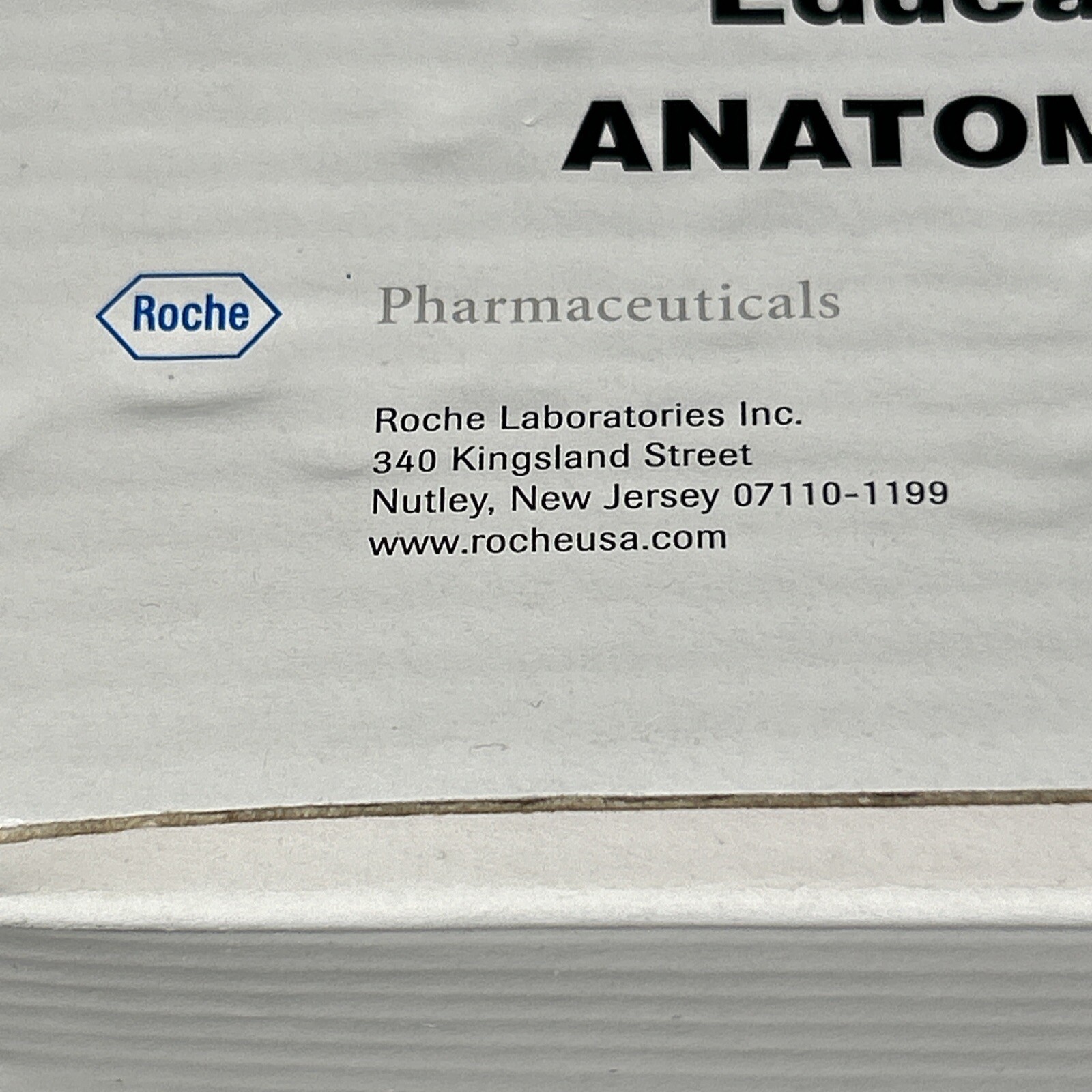 Colon Cancer Anatomical Anatomy Model Chart Display Roche Pharmaceutical Xeloda