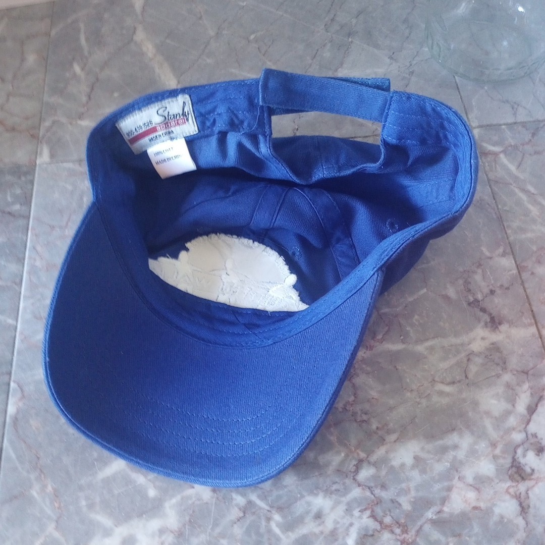 Aleve Promo Arthritis Foundation Arthritis Walk Fundraiser Ball Cap Blue EUC