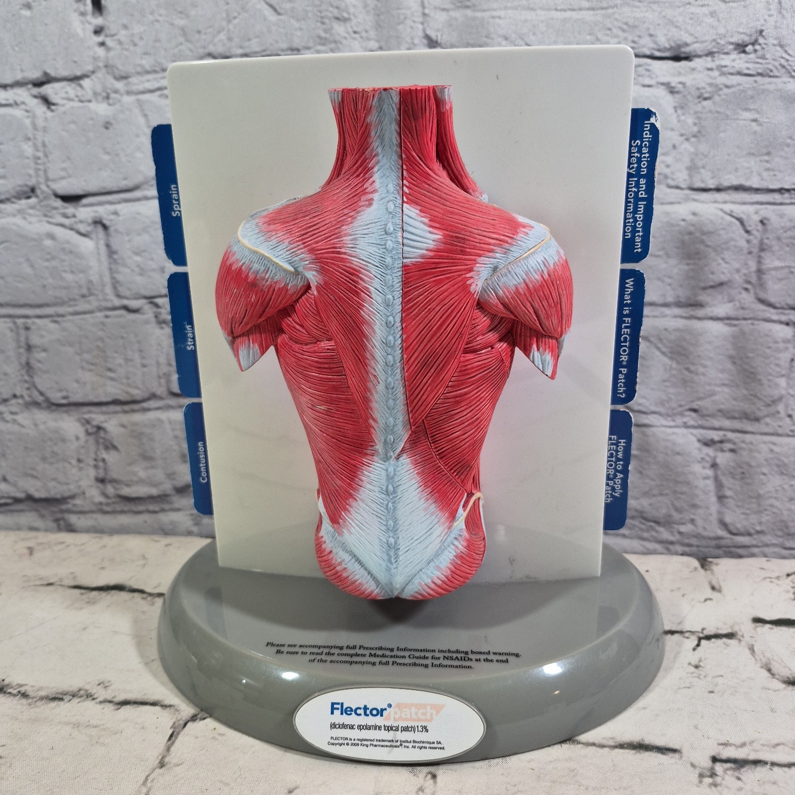 FLECTOR Patch Back Muscles Doctor 3D Display Pharma Advertising Expanding Model