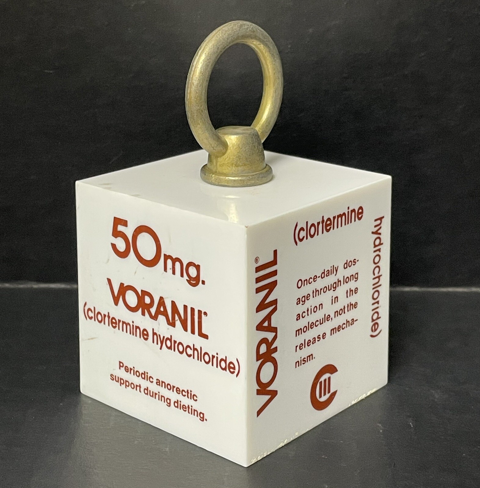 Vintage 1974 Voranil Clortermine Pharmaceutical Rep Marketing 2 lb Paperweight