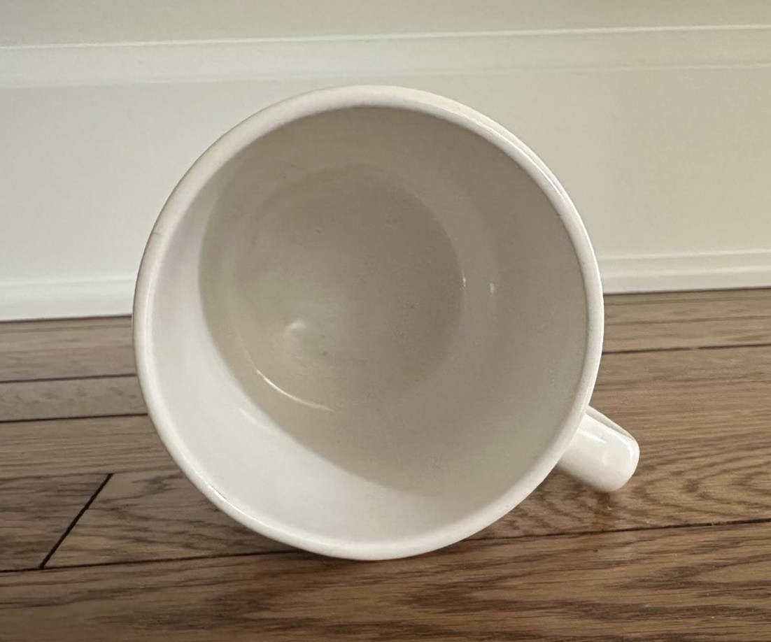 Naprosyn Drug Rep Pharmaceutical Advertising Heat Changing Mug, Used