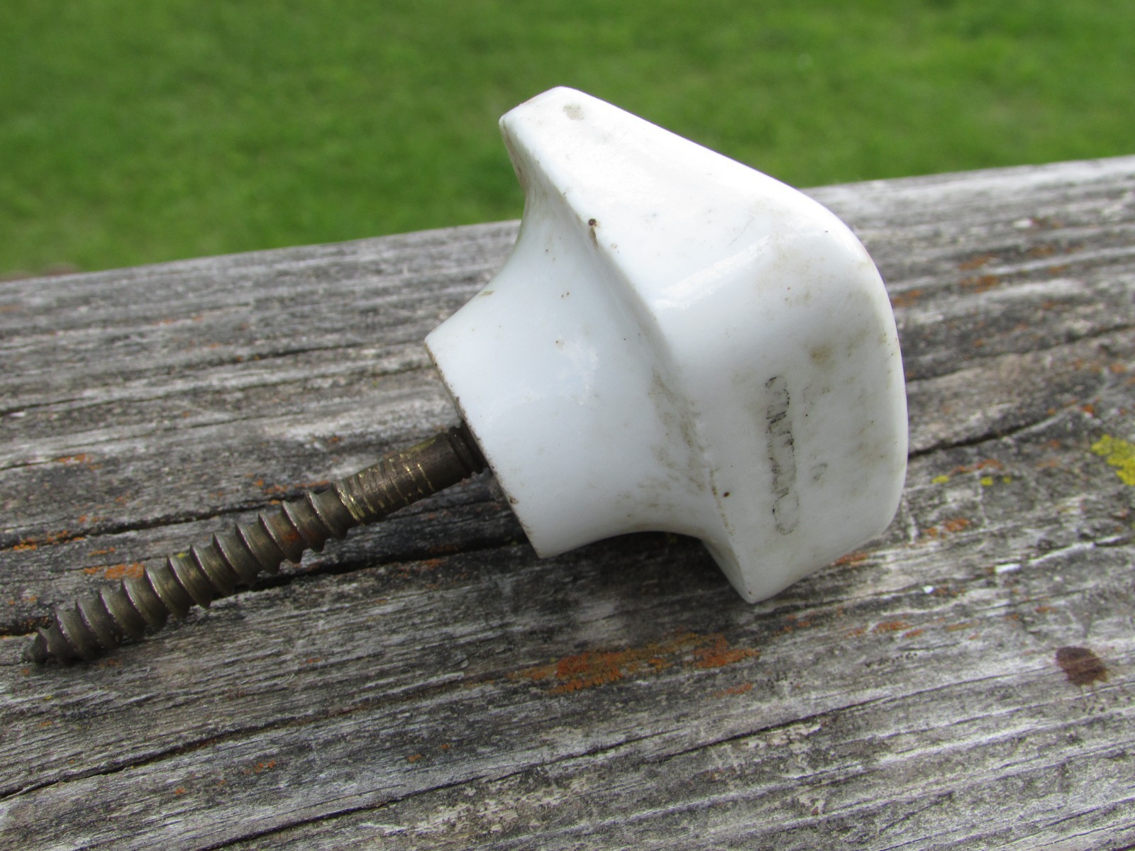 Unusual 1900s MARRUBIUM (Horehound) Porcelain APOTHECARY Cabinet Drawer KNOB A++