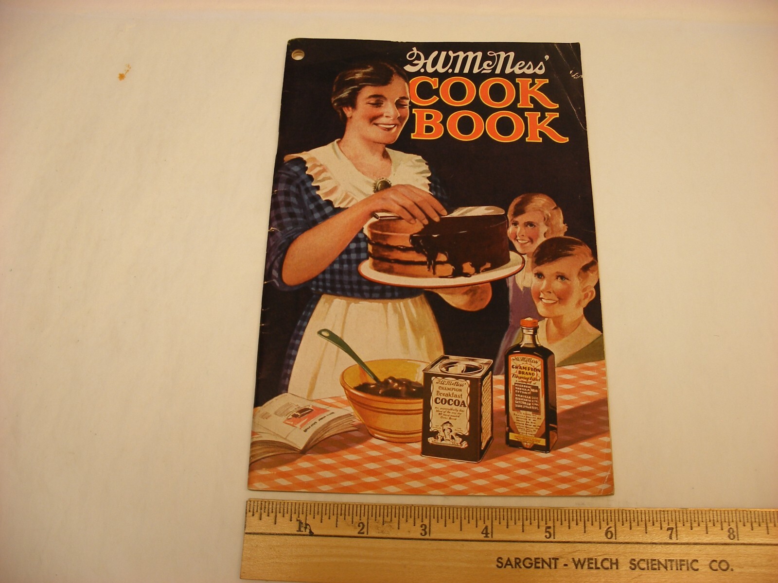 Vtg 1933 F. W. McNess Co. Freeport IL Pharmacy Medical Cure Cookbook