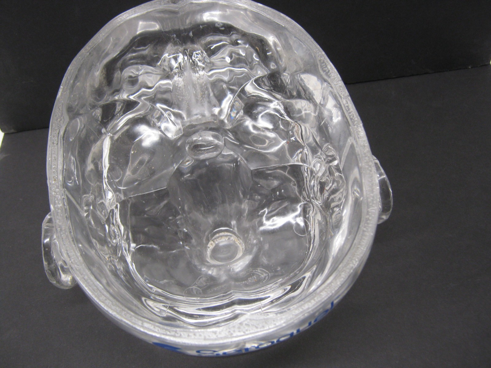 Seroquel Human Brain Anatomy Model w/ Clear Skull PharmaDesign Medical Display